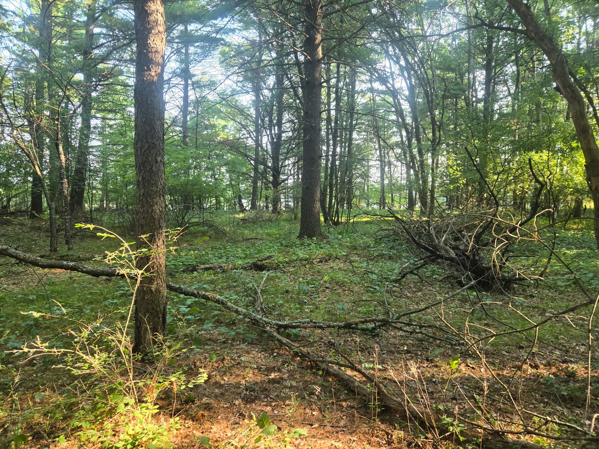 Lot 2 75th Ave Property Photo 5
