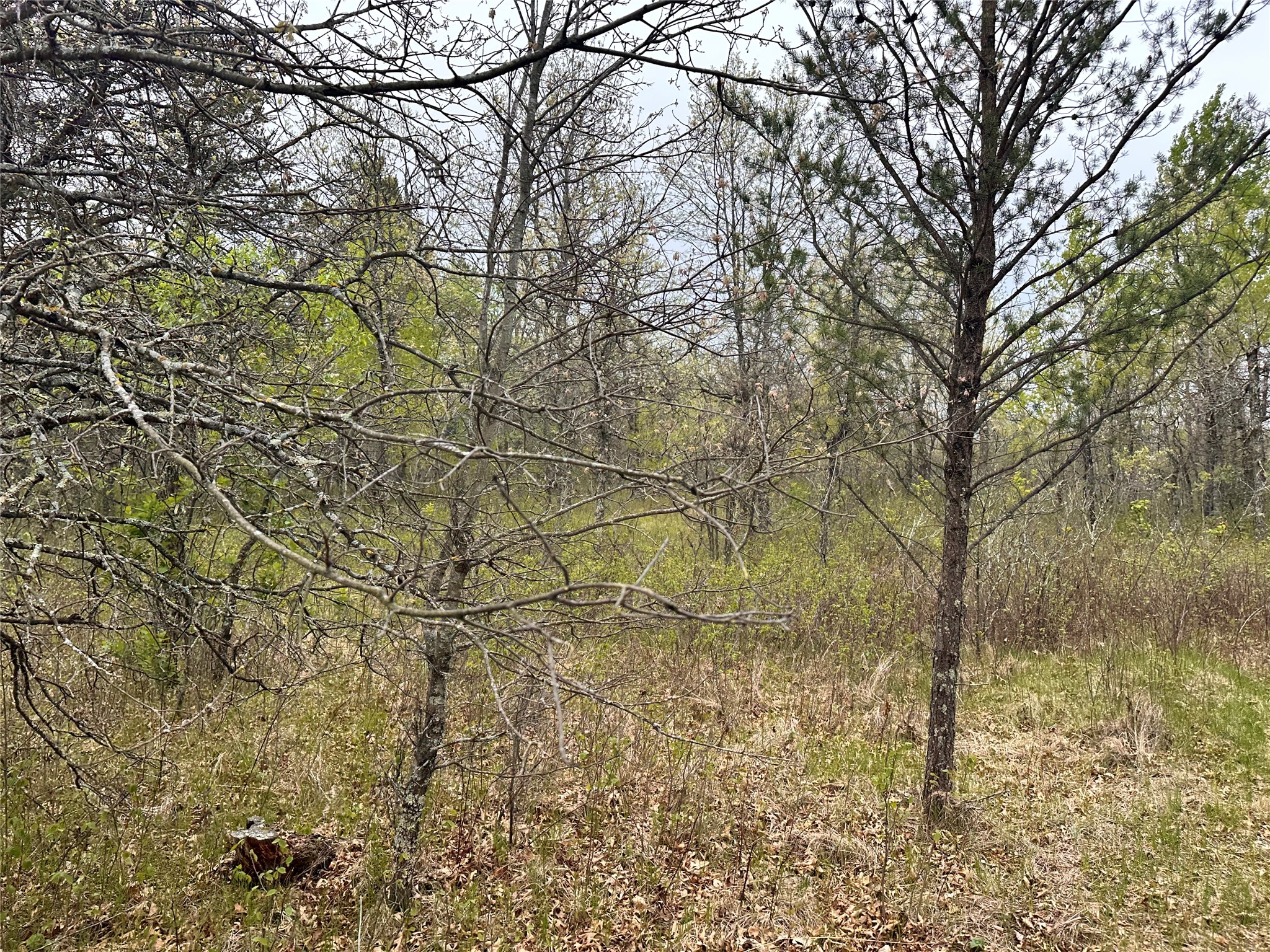 Xx 295th Ave Property Photo 13