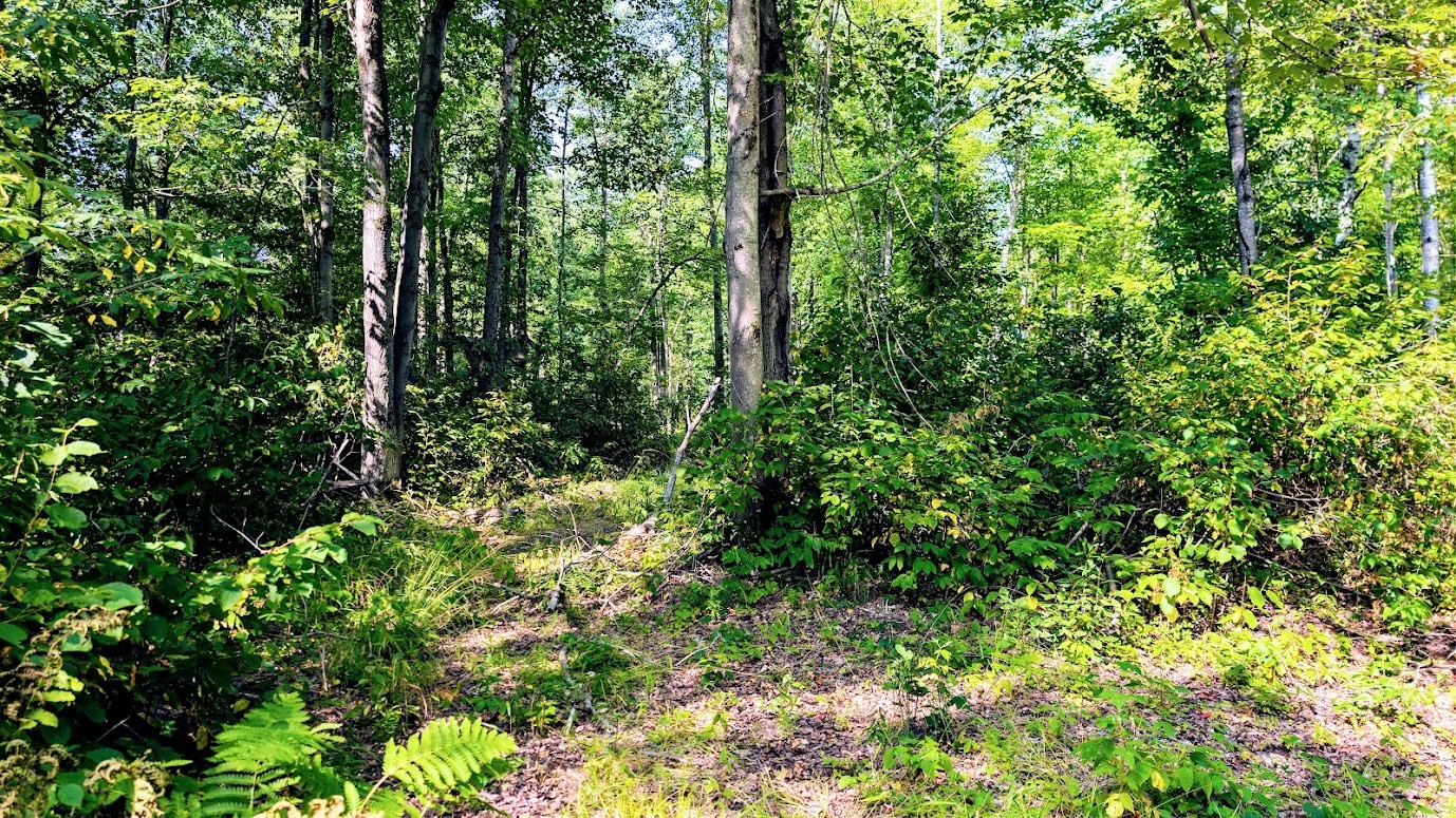W8185 County Road J Property Photo 25