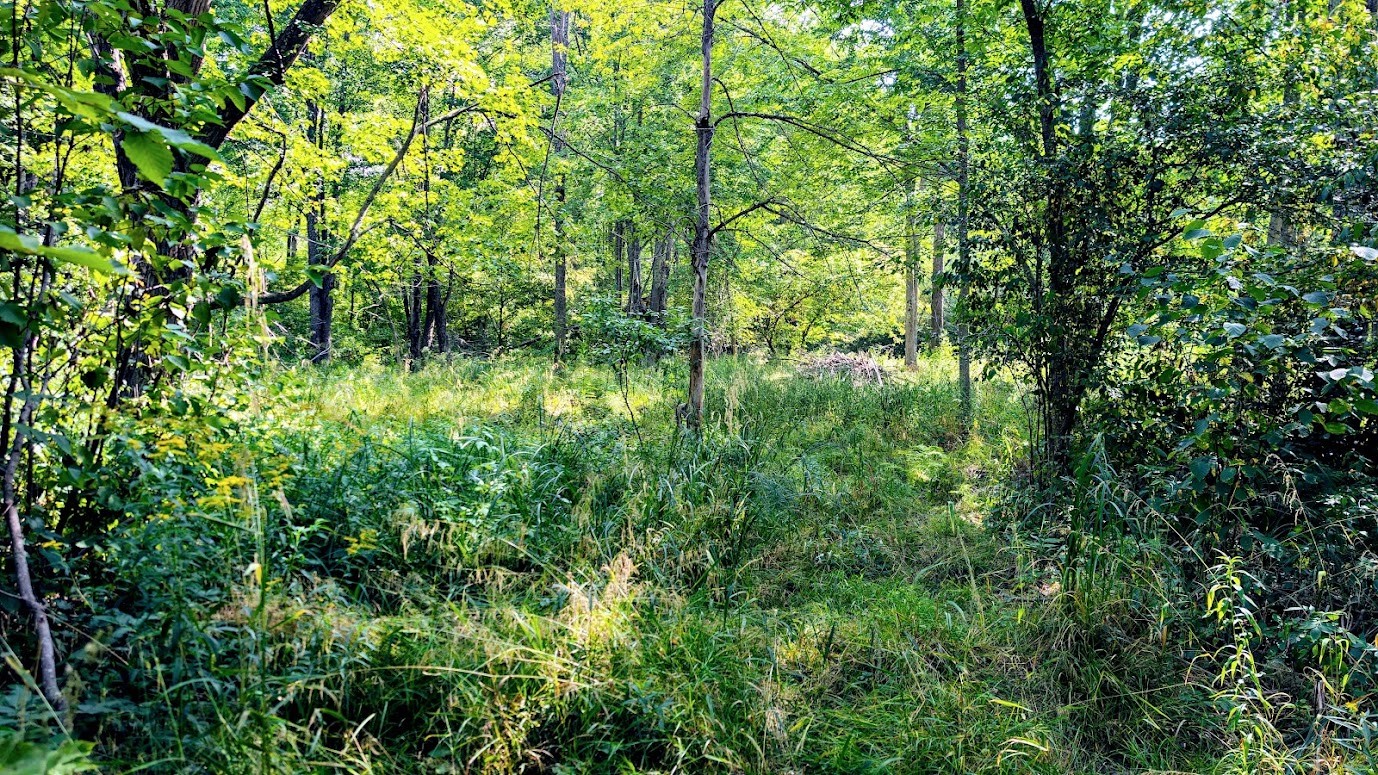 W8185 County Road J Property Photo 26