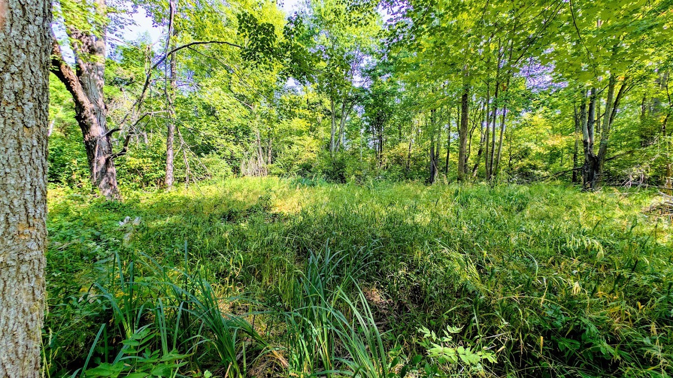 W8185 County Road J Property Photo 29