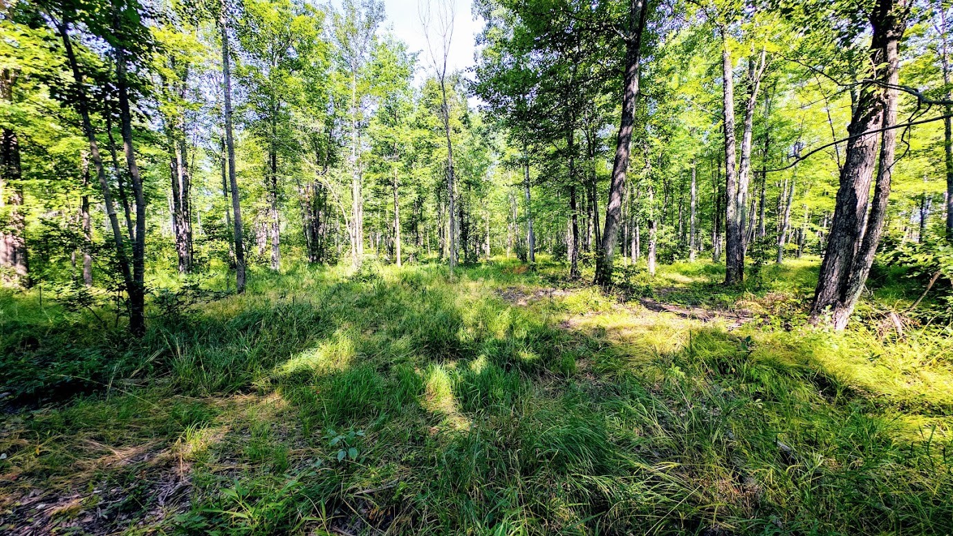 W8185 County Road J Property Photo 31
