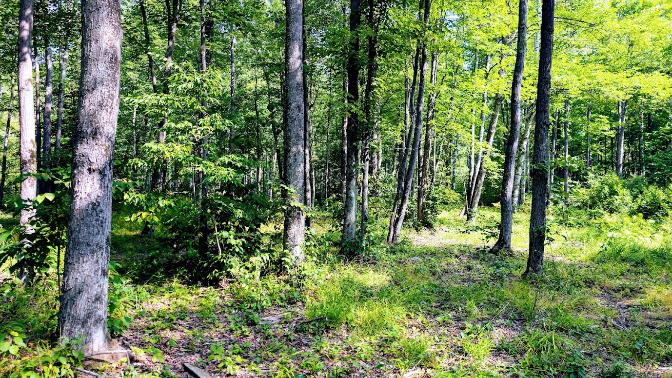 W8185 County Road J Property Photo 32