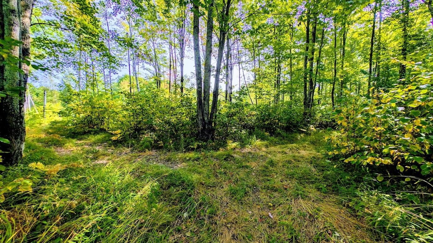W8185 County Road J Property Photo 37
