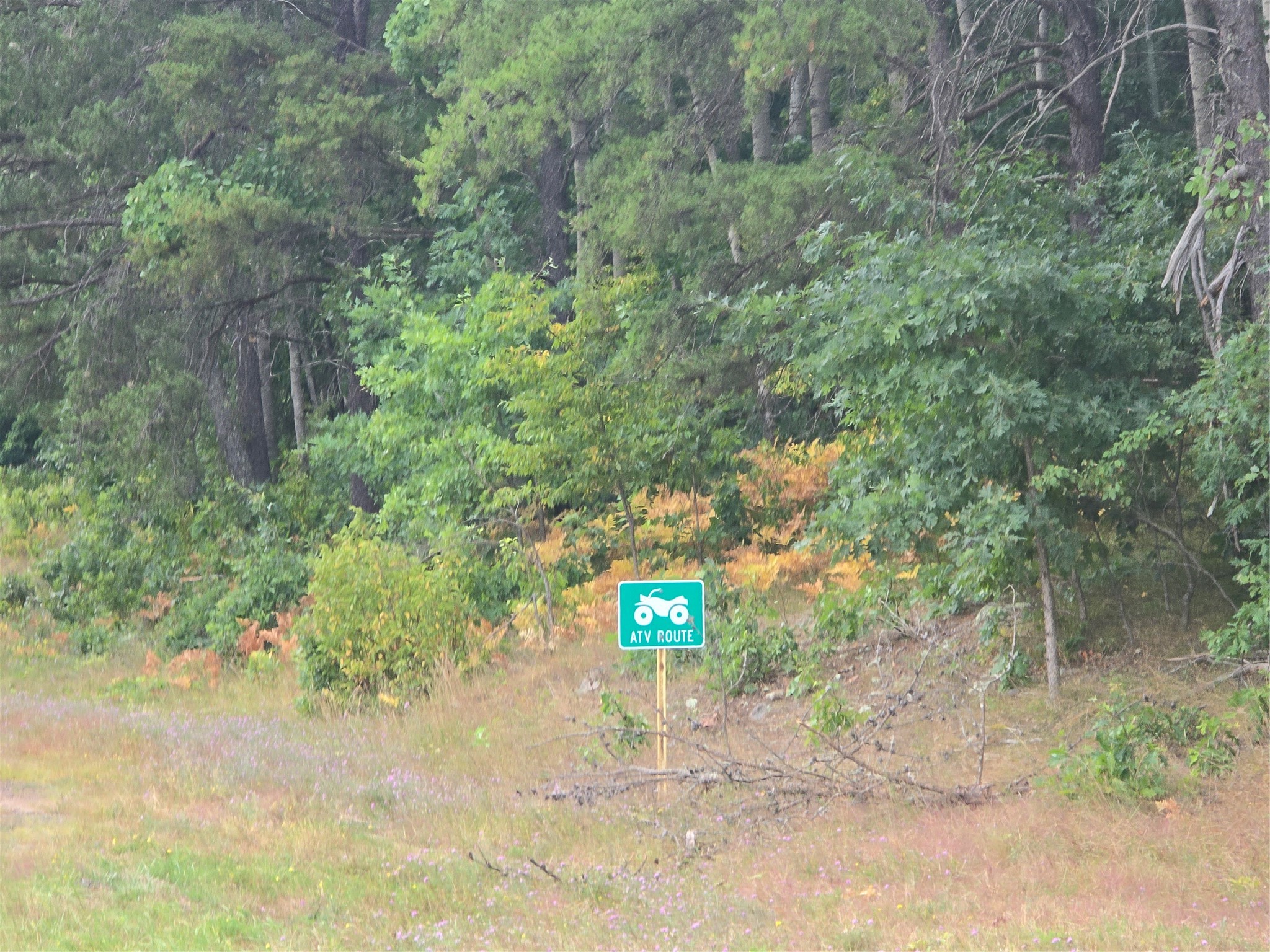 0 County Highway E Property Photo 2