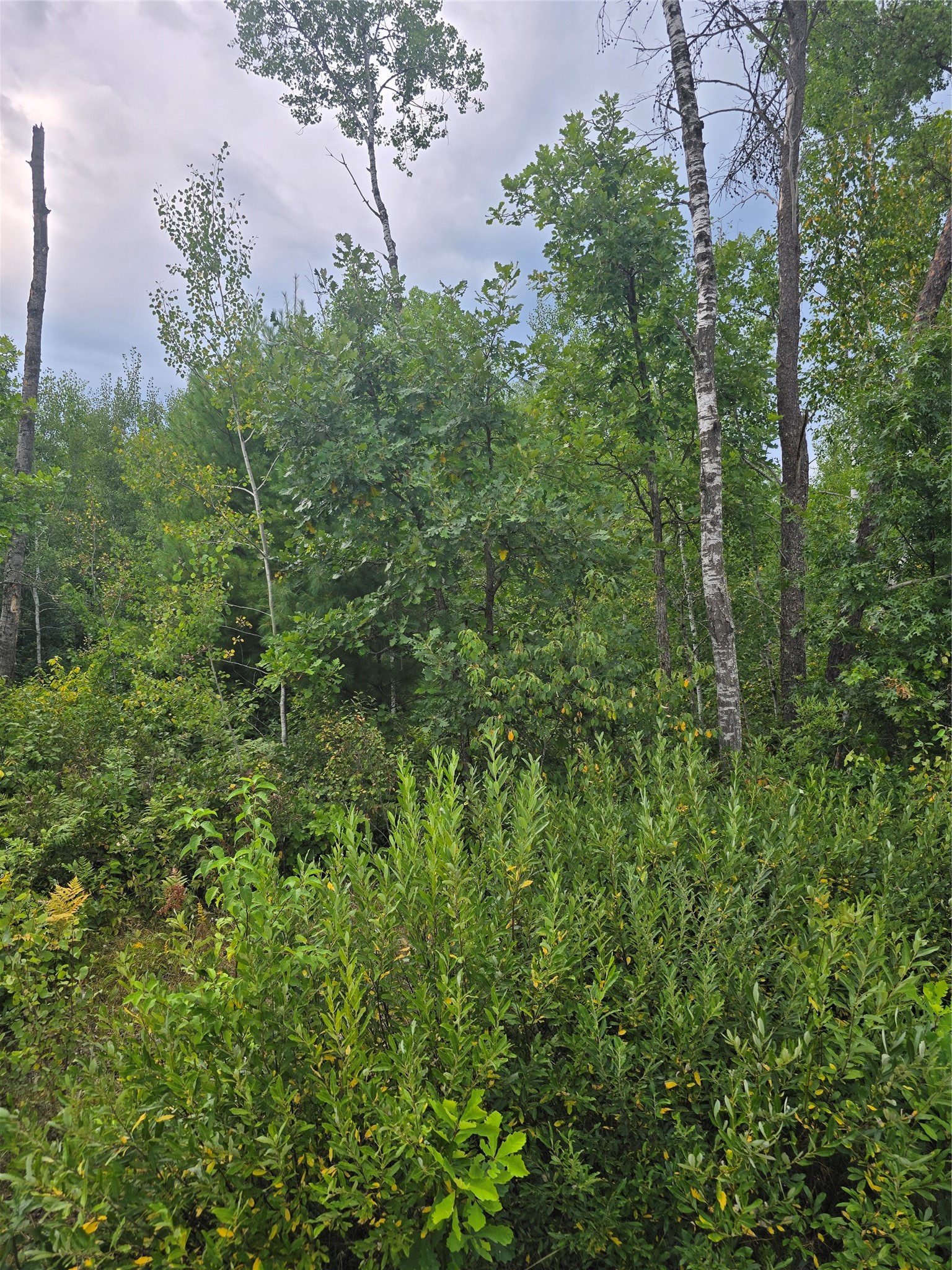 0 County Highway E Property Photo 3