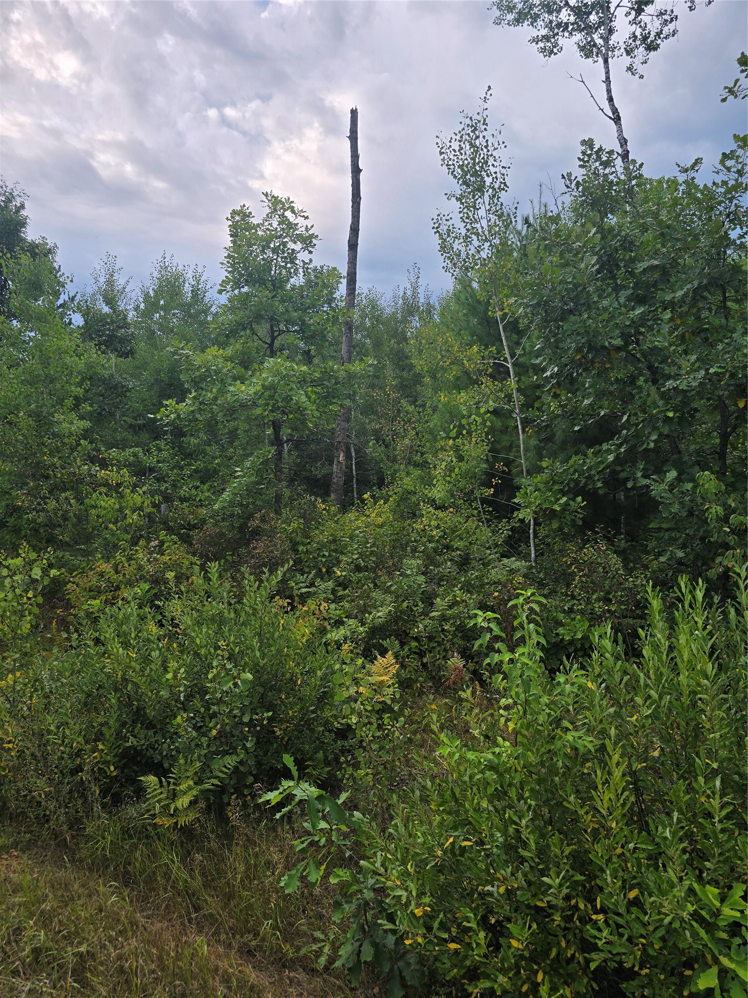 0 County Highway E Property Photo 4