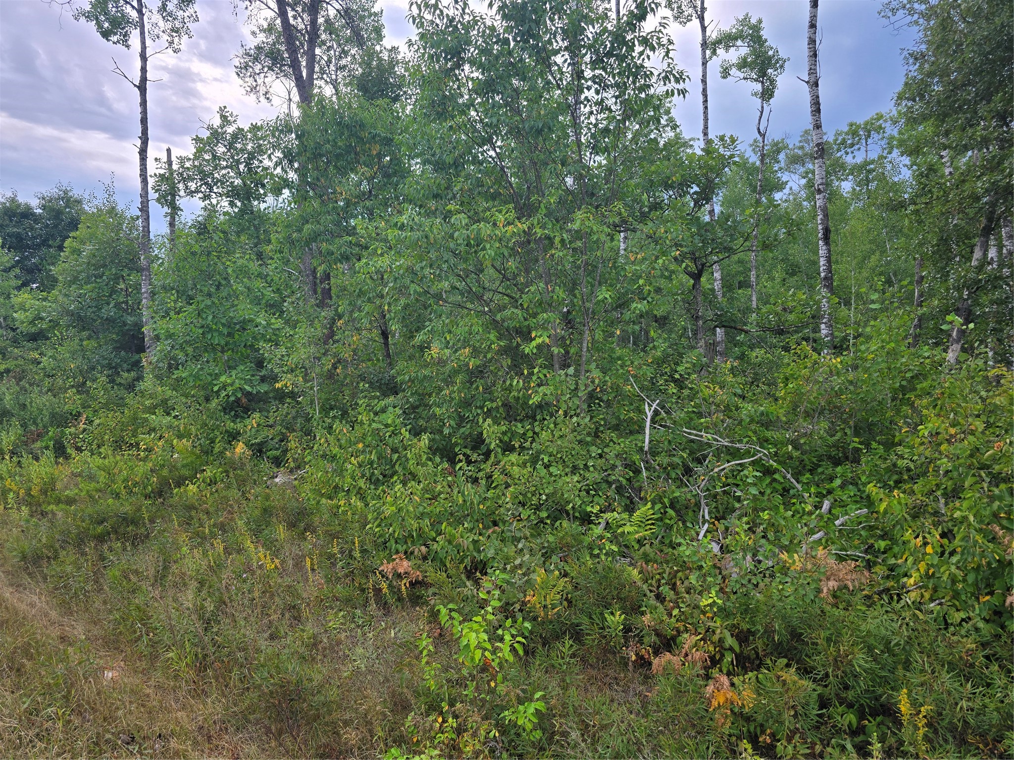 0 County Highway E Property Photo 5