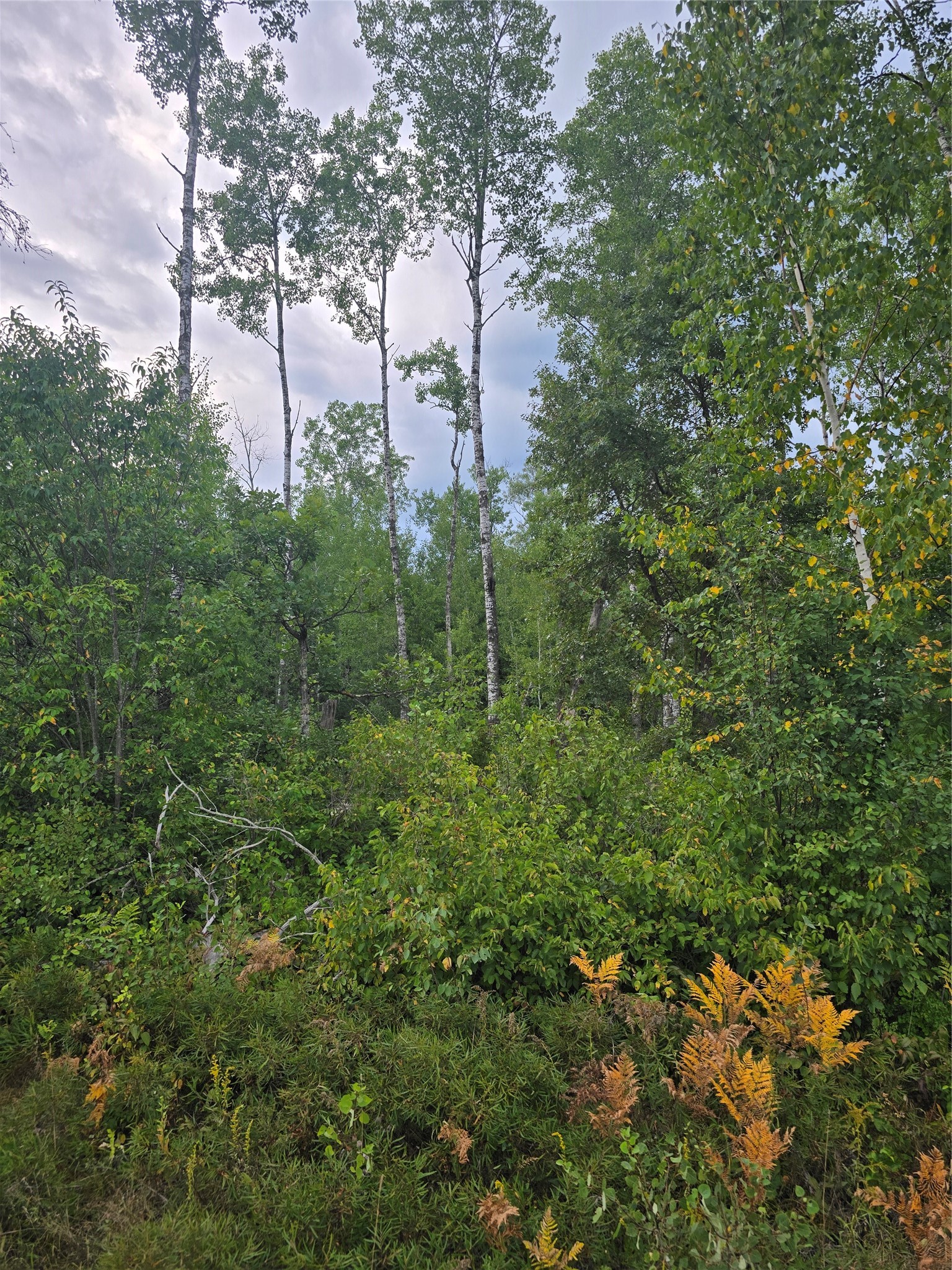 0 County Highway E Property Photo 6