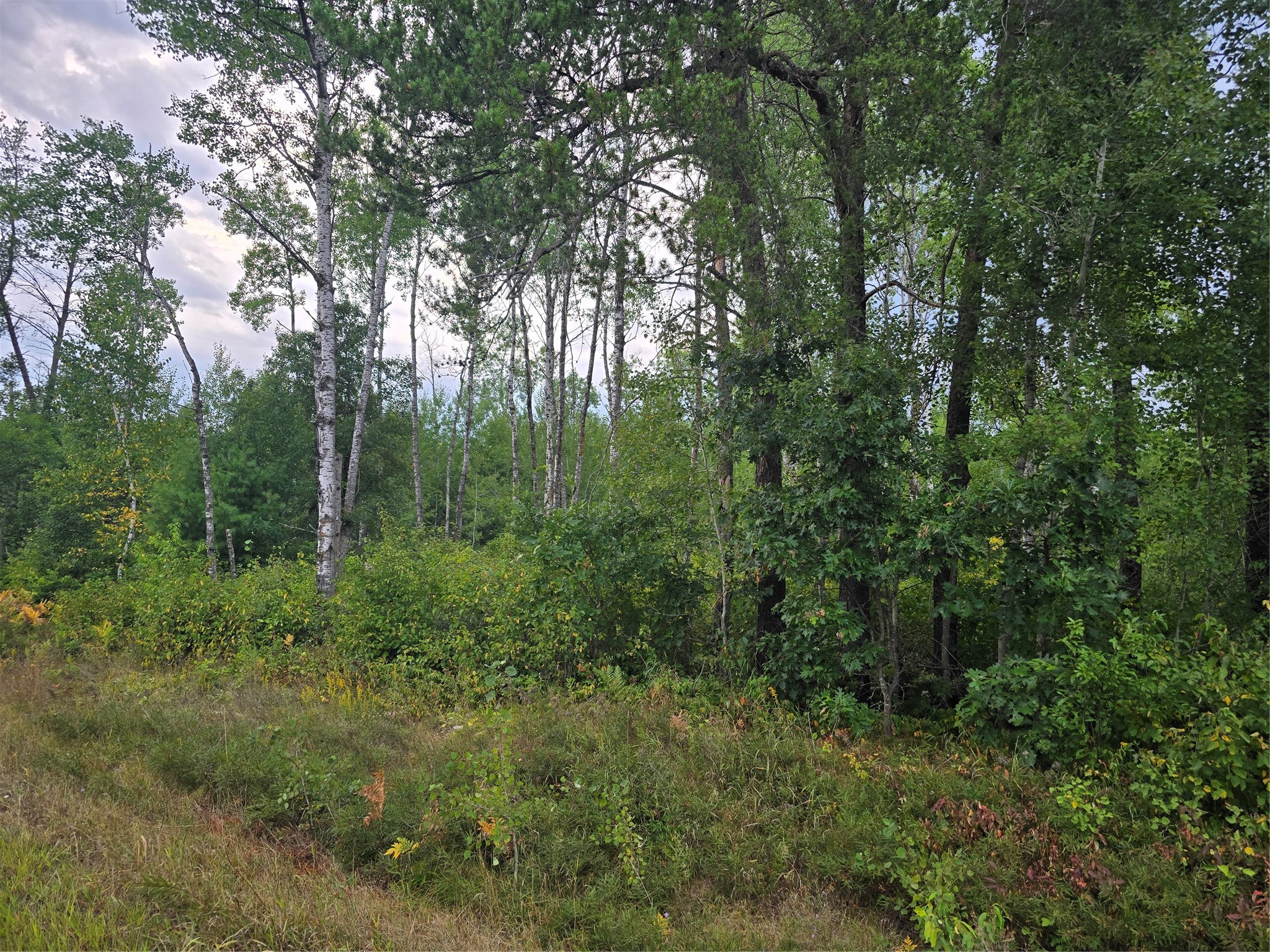 0 County Highway E Property Photo 7