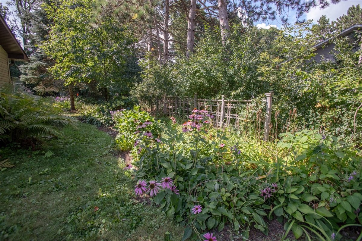 1604418 Property Photo 56