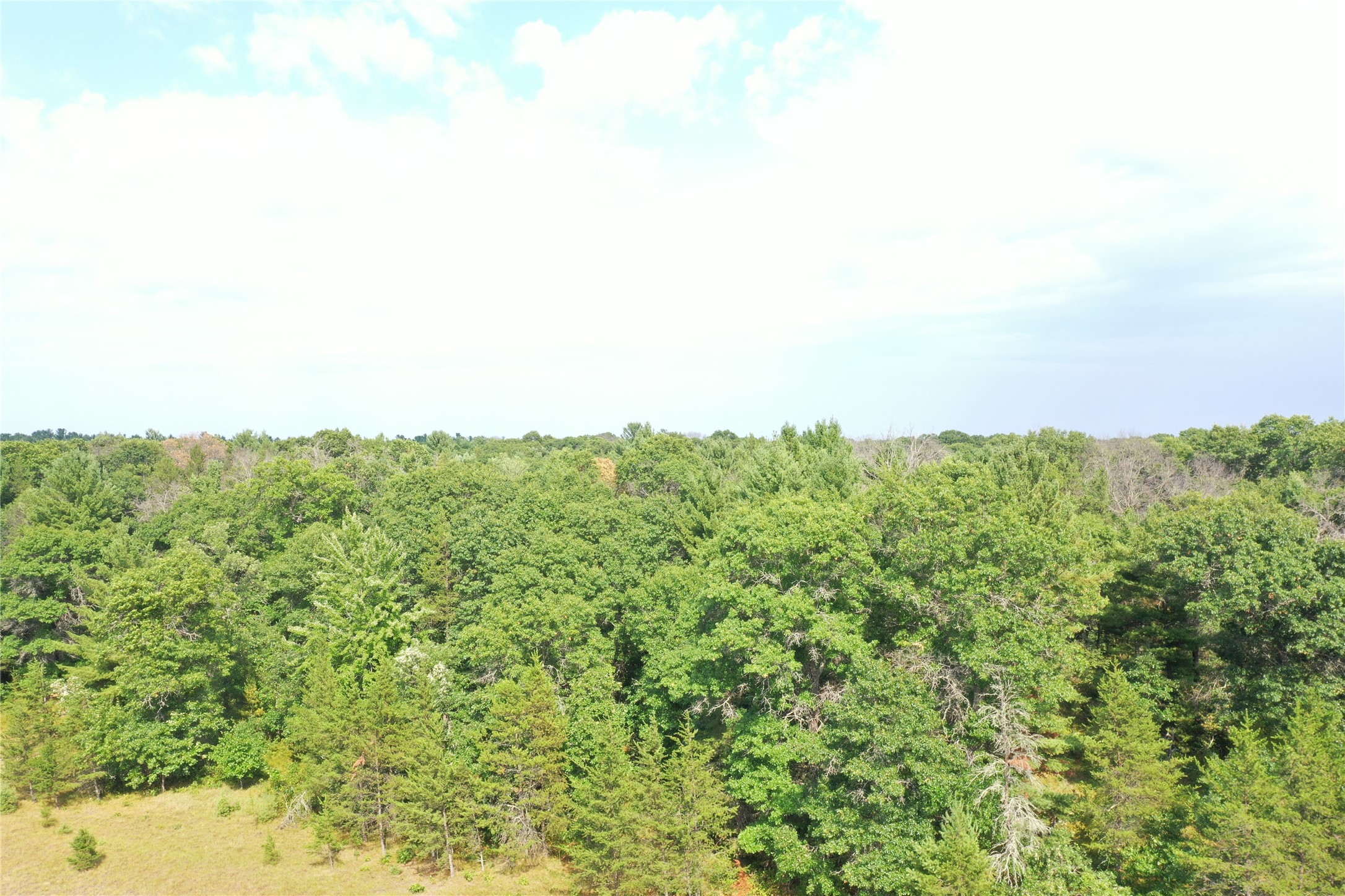 Xxx Soderbeck Road Property Photo 4