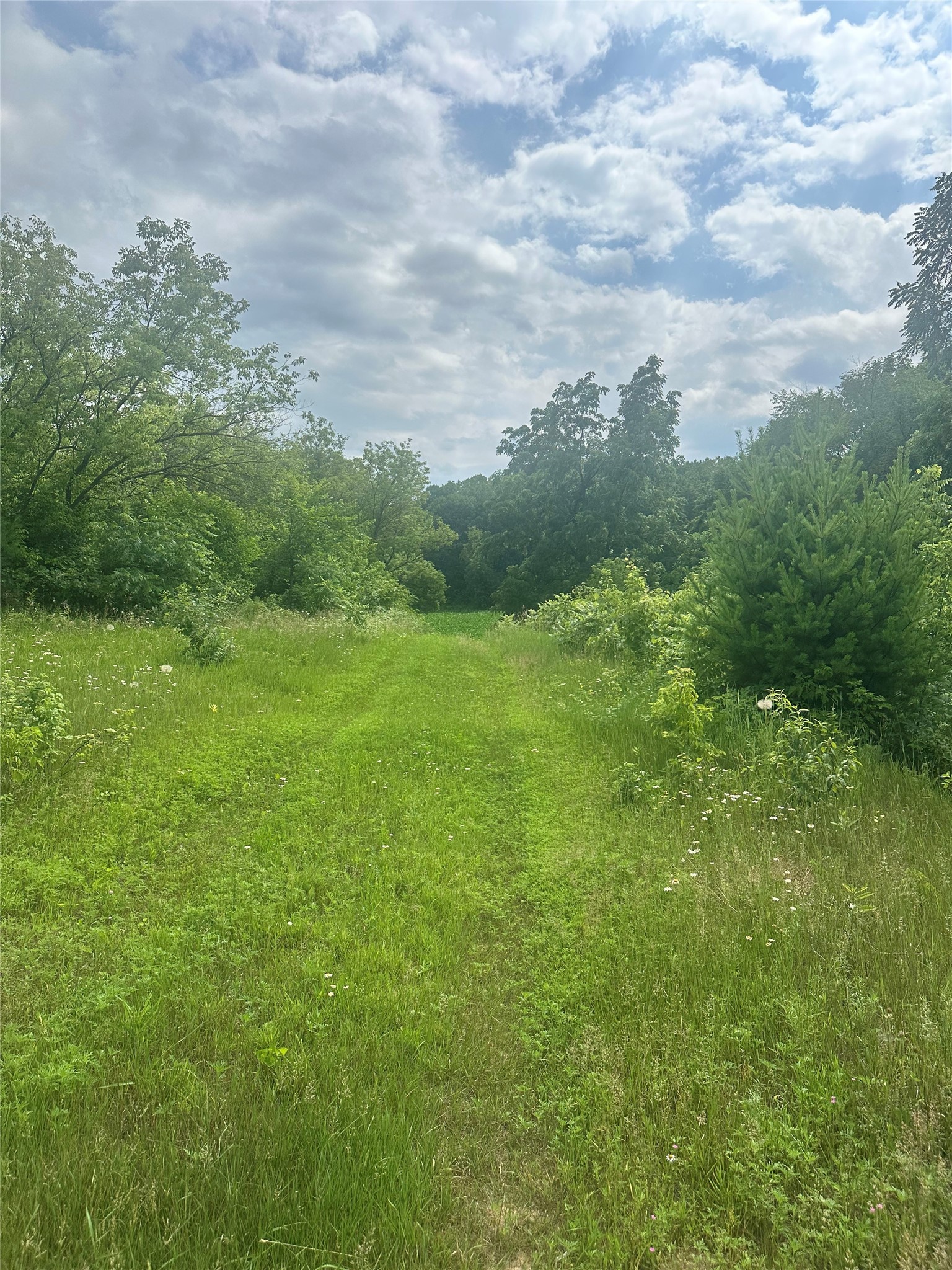 10925 S Hemlock Road S Property Photo 6
