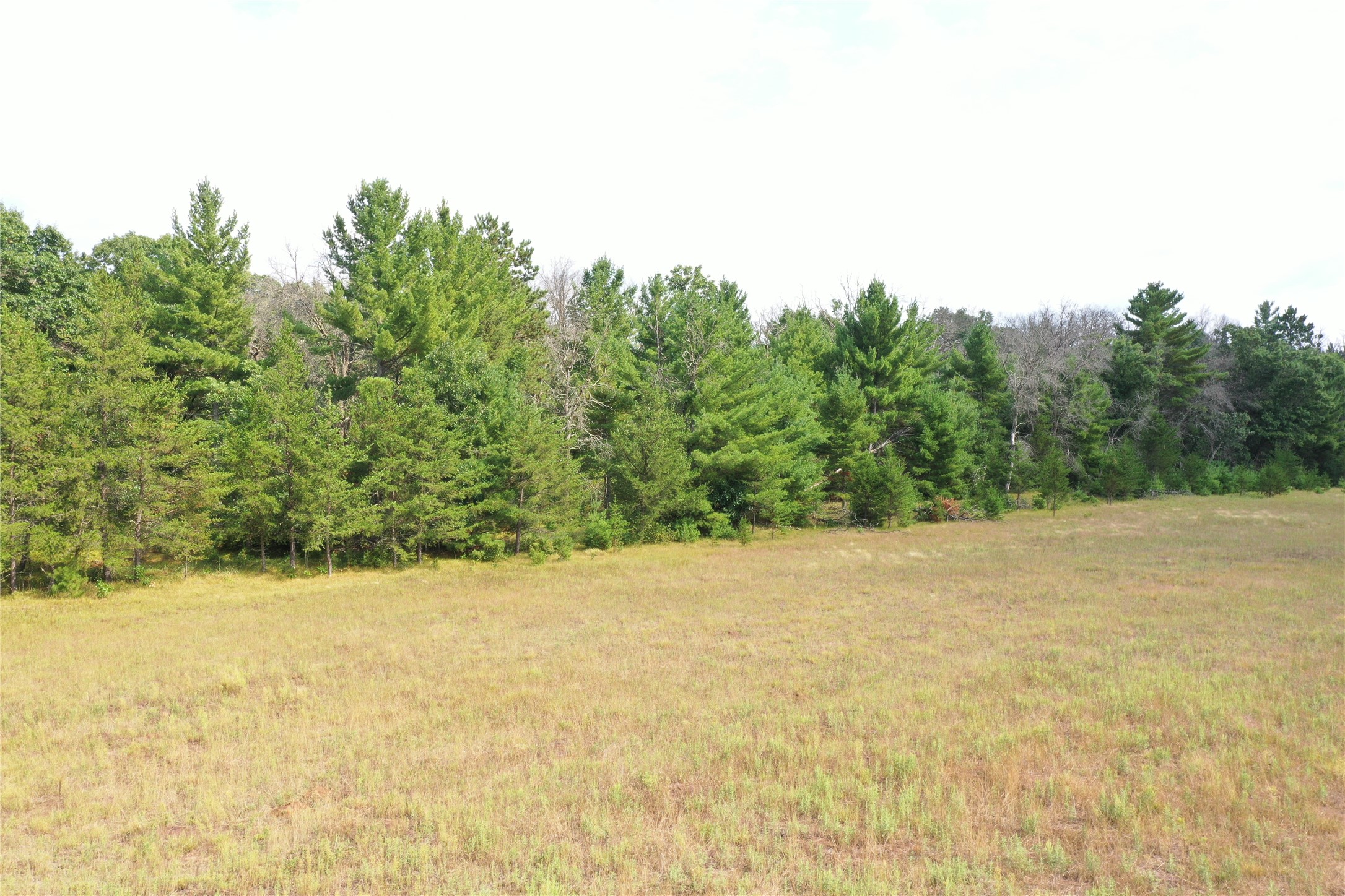 Xxx Soderbeck Road Property Photo 6