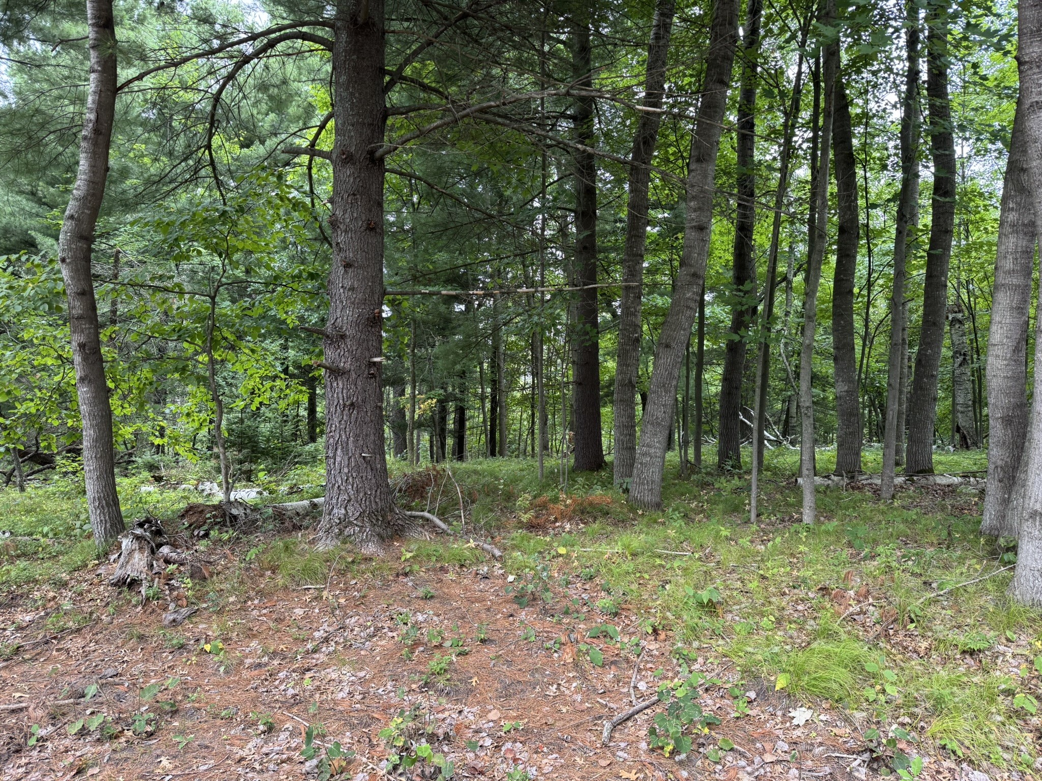 N8004 Cty Hwy A Property Photo 6