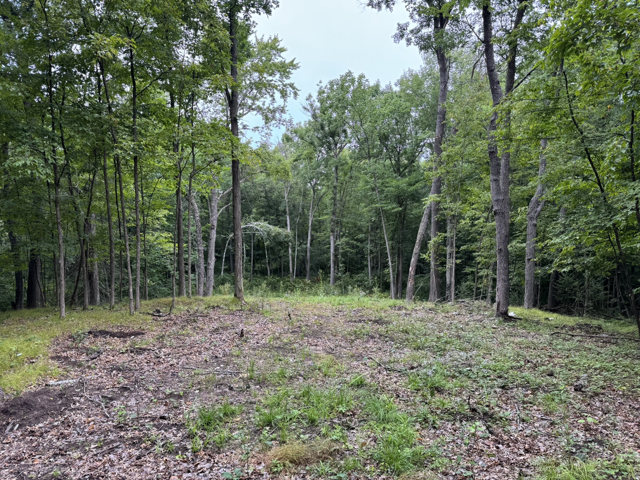 N8004 Cty Hwy A Property Photo 9