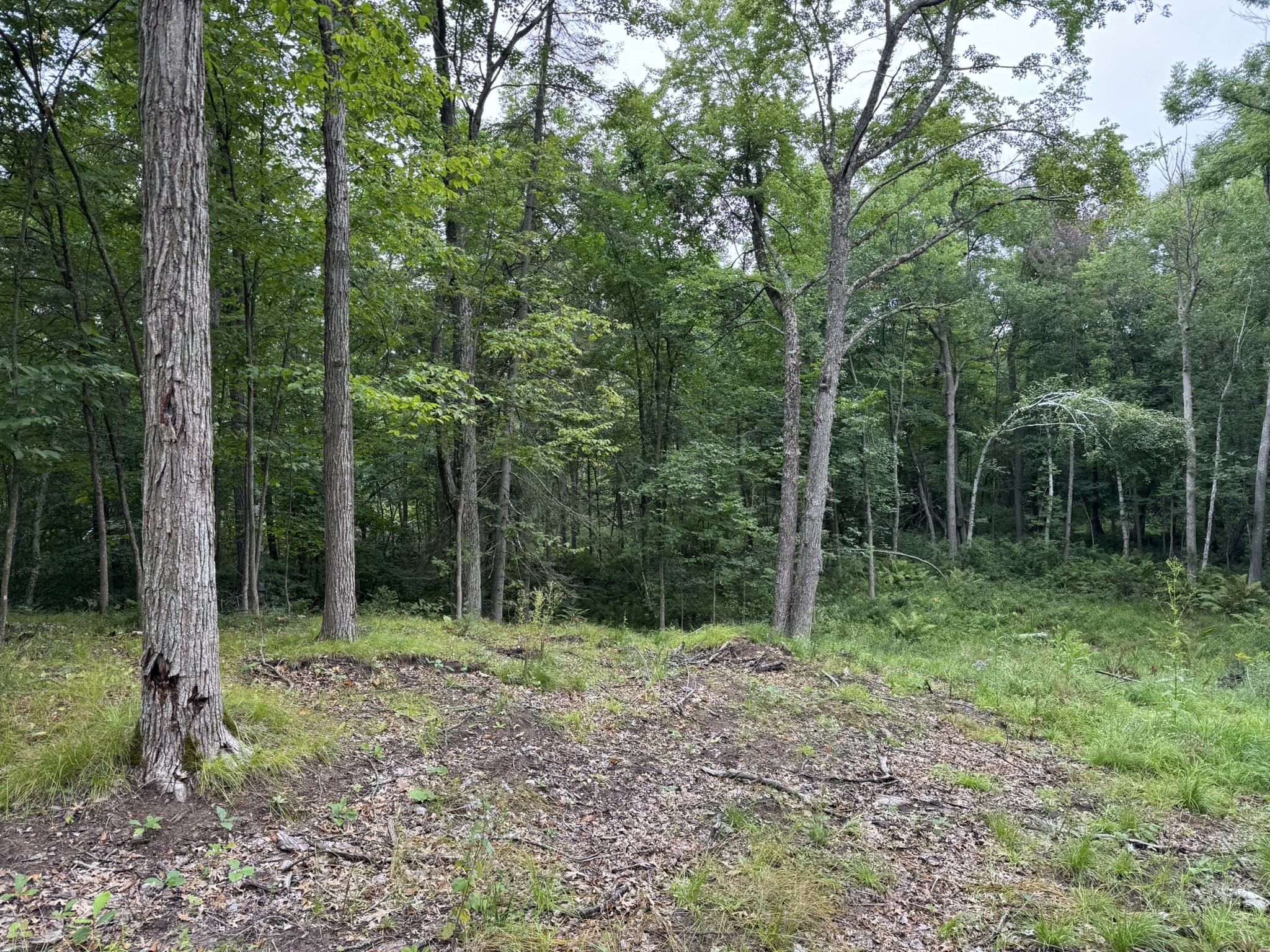 N8004 Cty Hwy A Property Photo 10