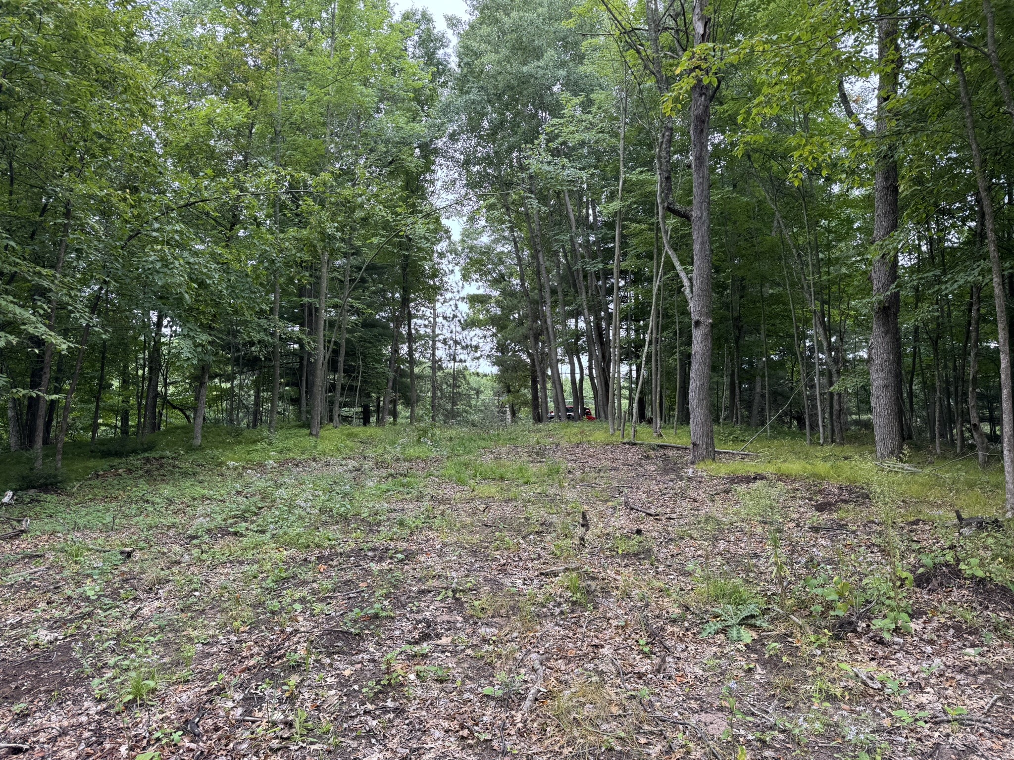 N8004 Cty Hwy A Property Photo 11