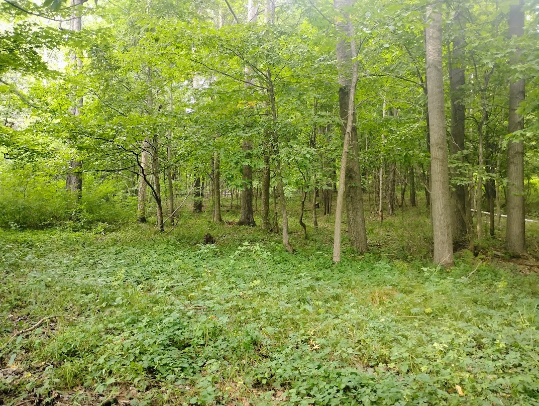 0 1130th Avenue Property Photo 5