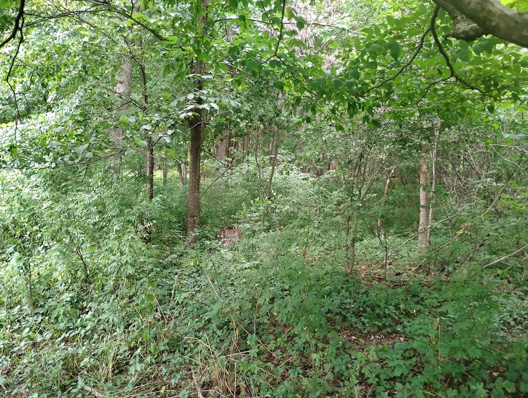 0 1130th Avenue Property Photo 16