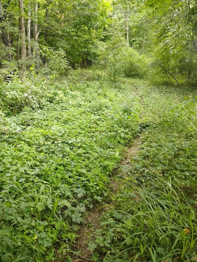 0 1130th Avenue Property Photo 23