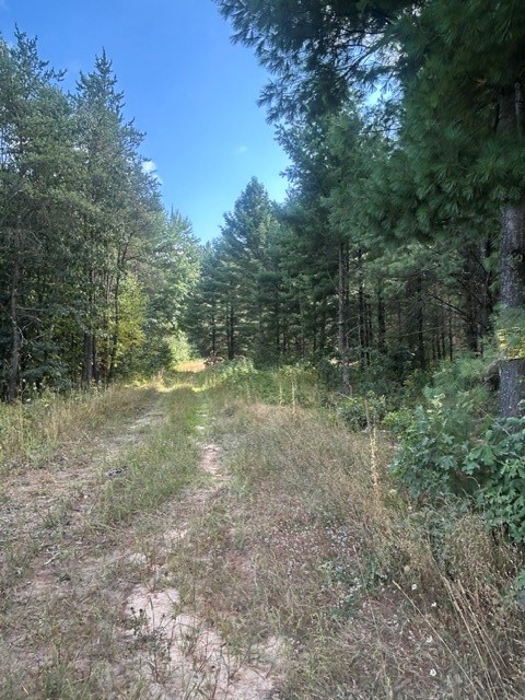 W12669 Monthei Road Property Photo 6