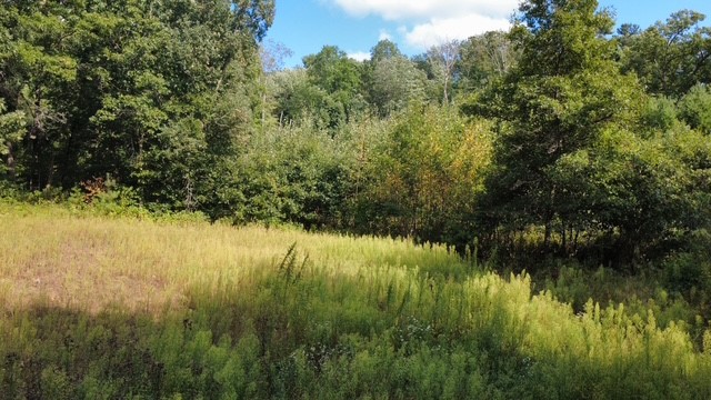 W12669 Monthei Road Property Photo 15