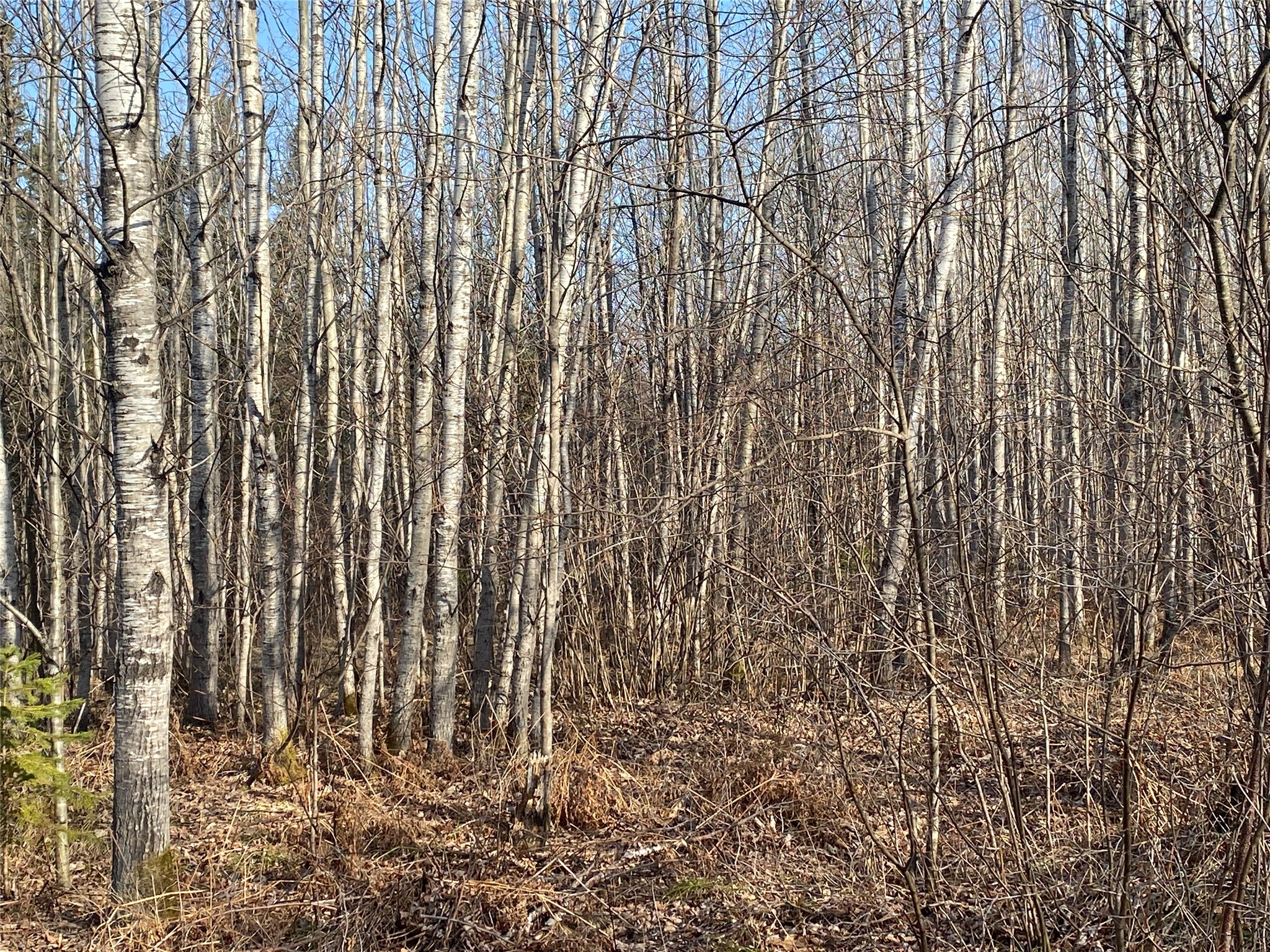 Near Jackson Road Property Photo 1