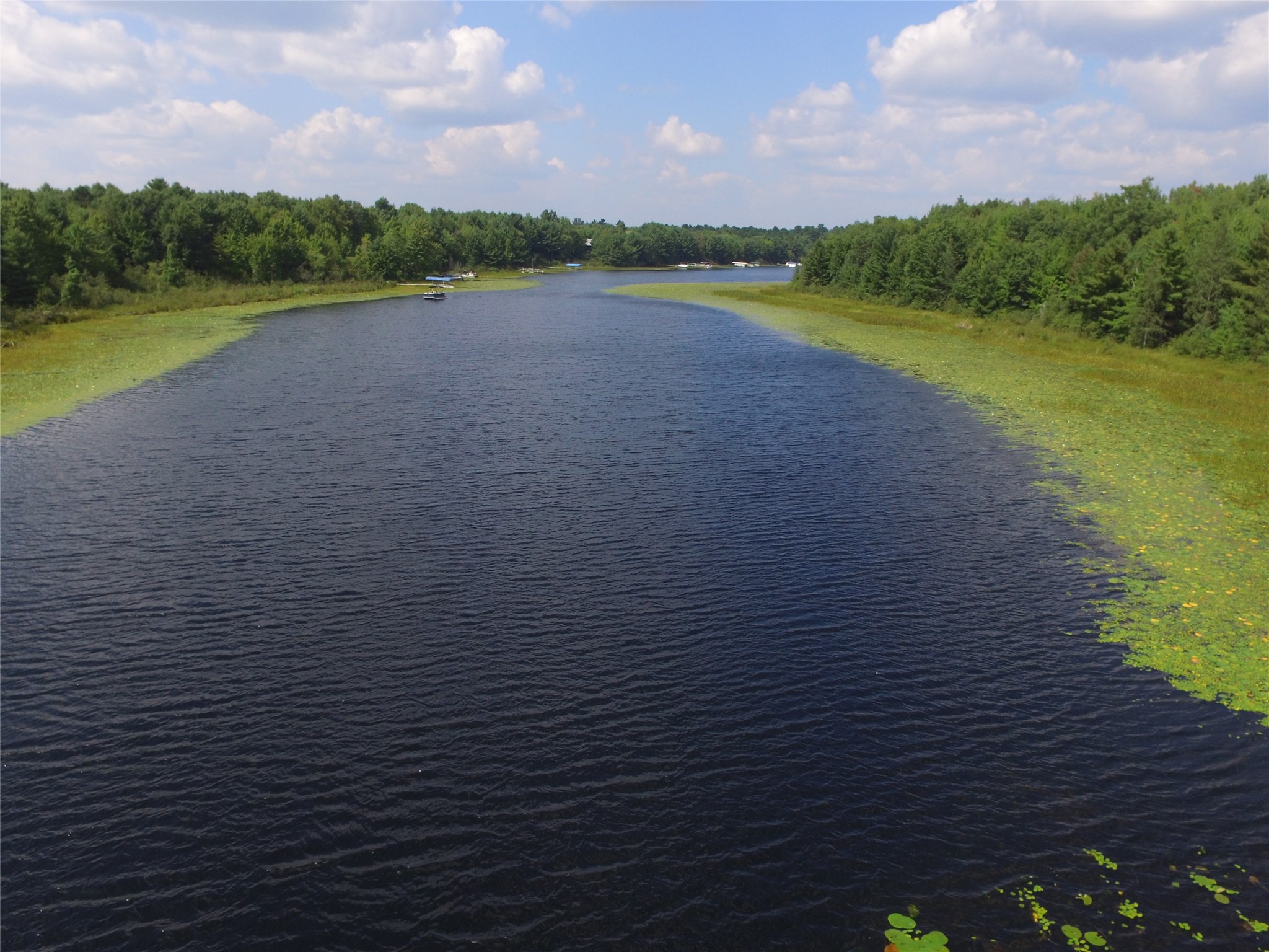 4646 Whitetail Path Property Photo 6