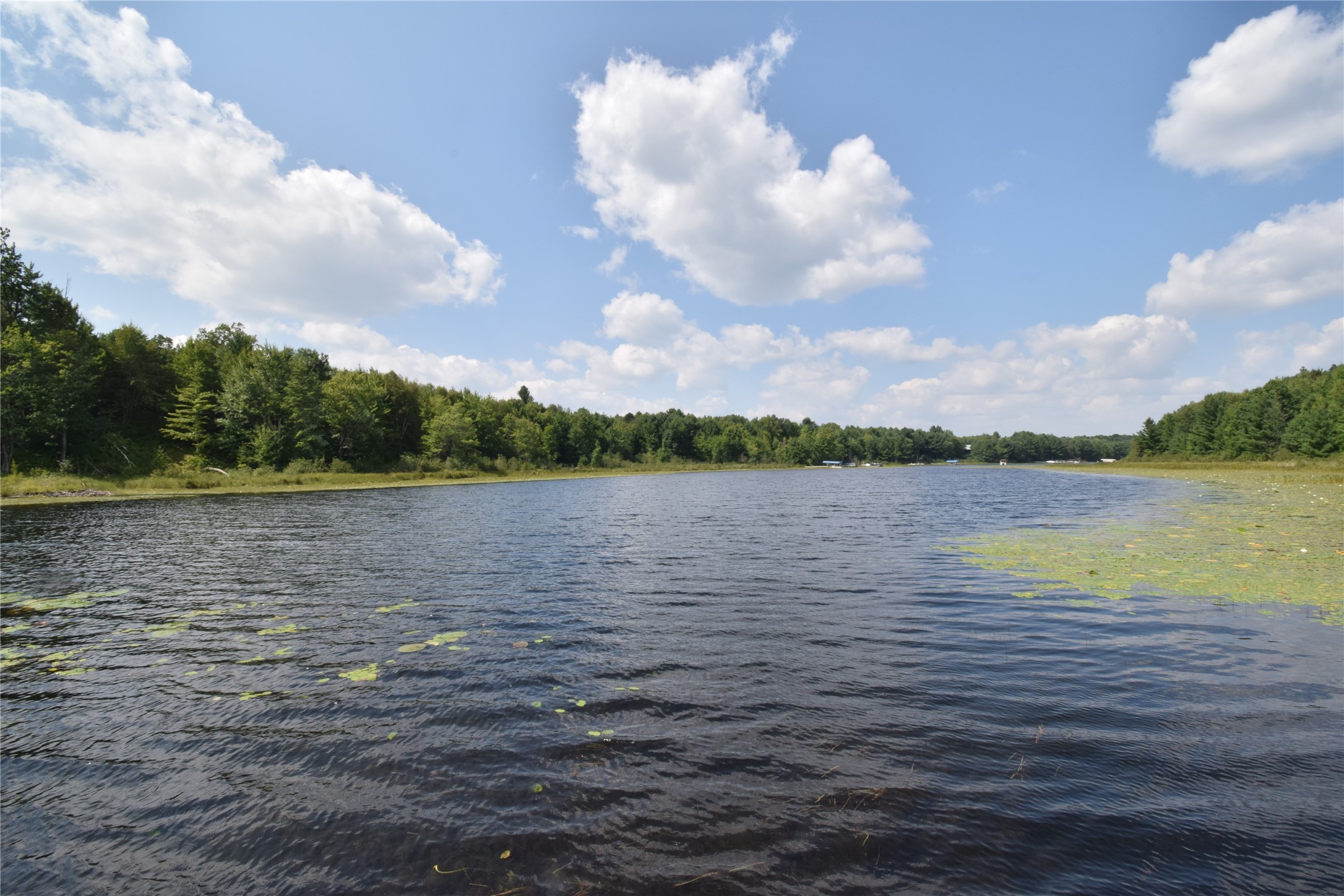 4646 Whitetail Path Property Photo 22