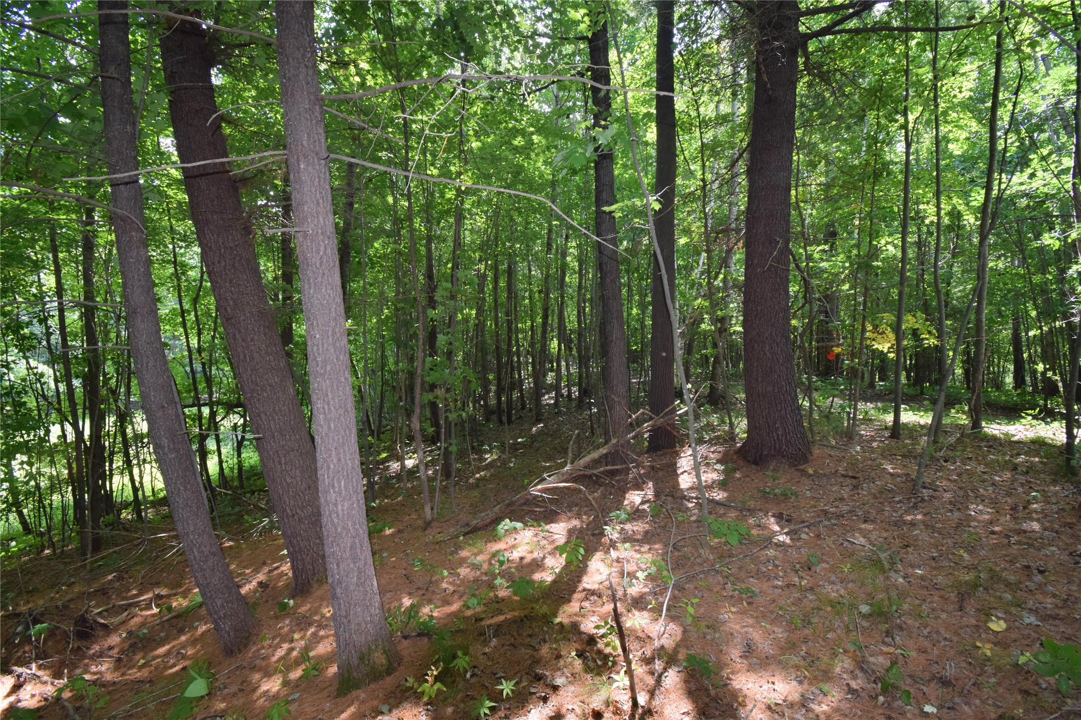 4646 Whitetail Path Property Photo 26