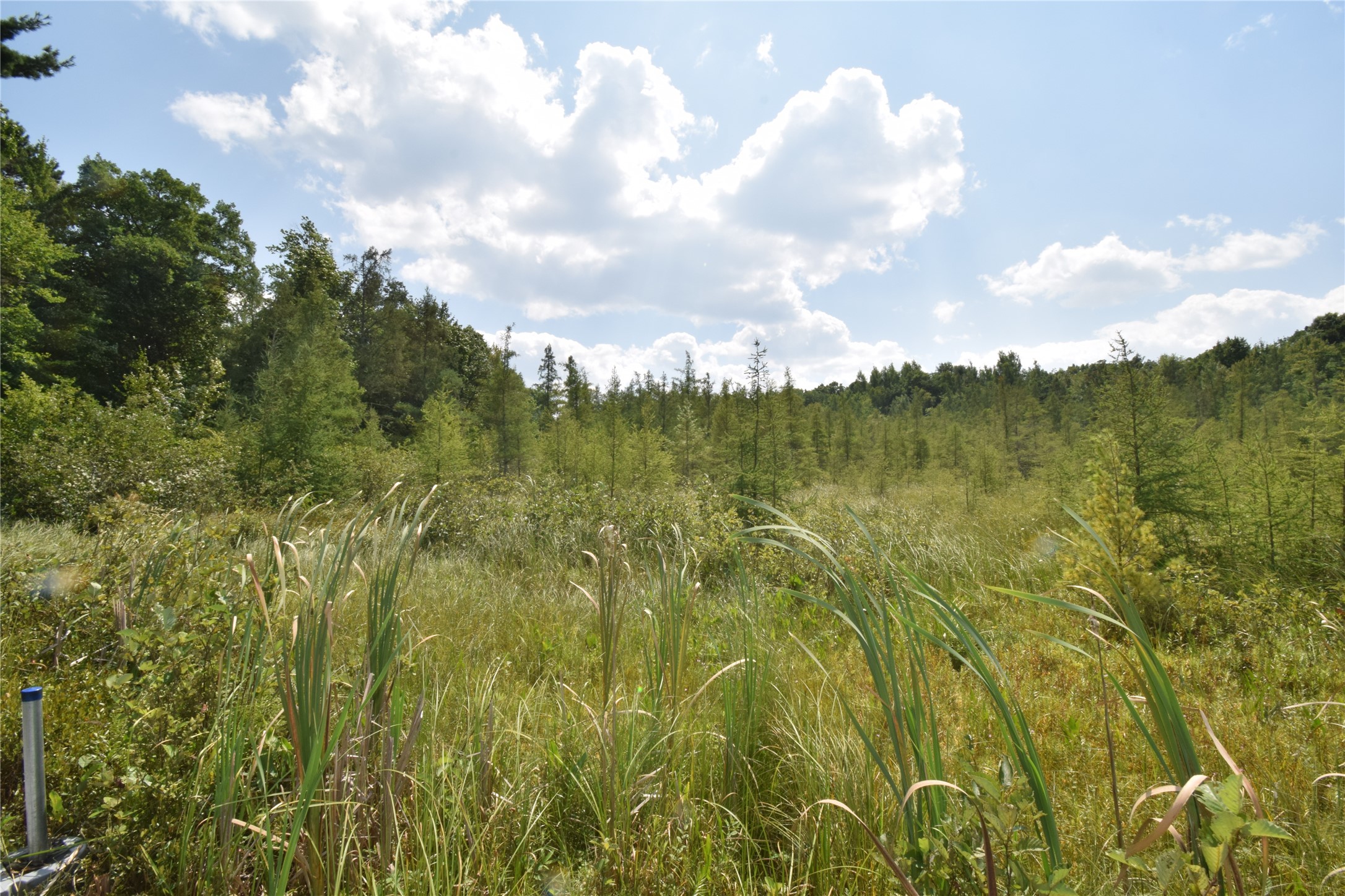 4646 Whitetail Path Property Photo 27