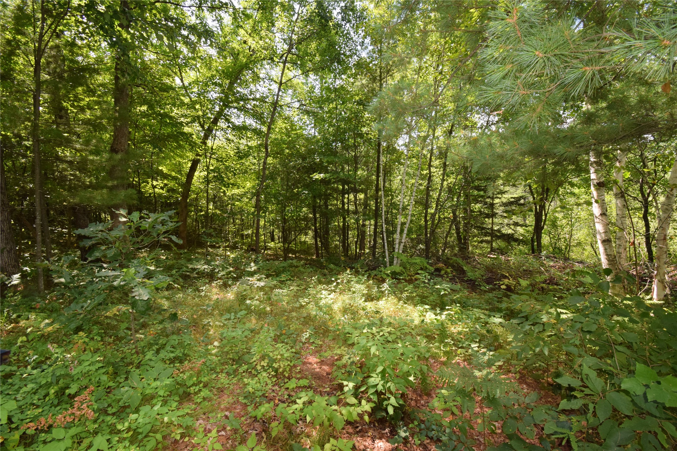 4646 Whitetail Path Property Photo 32