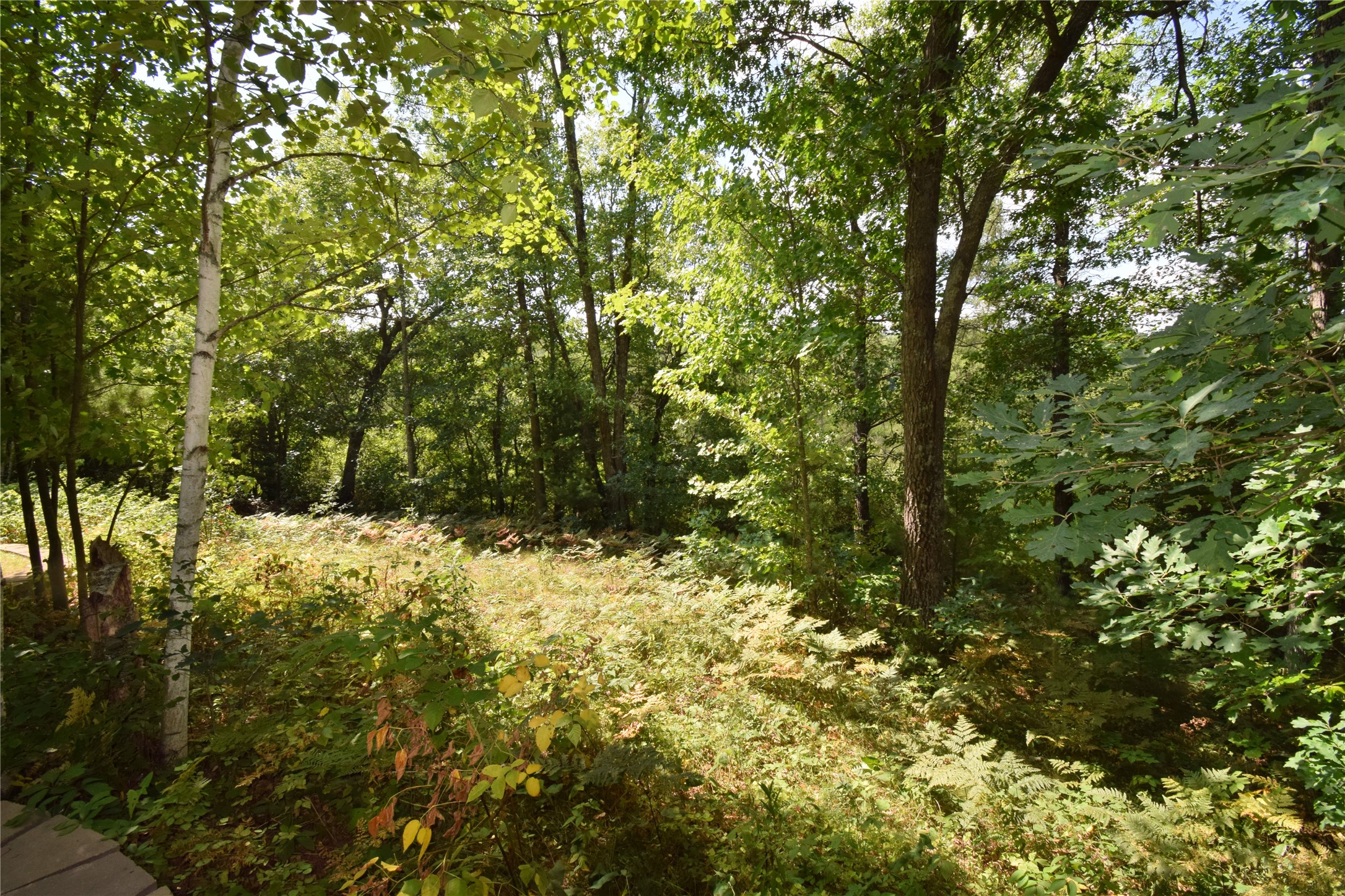 4646 Whitetail Path Property Photo 36