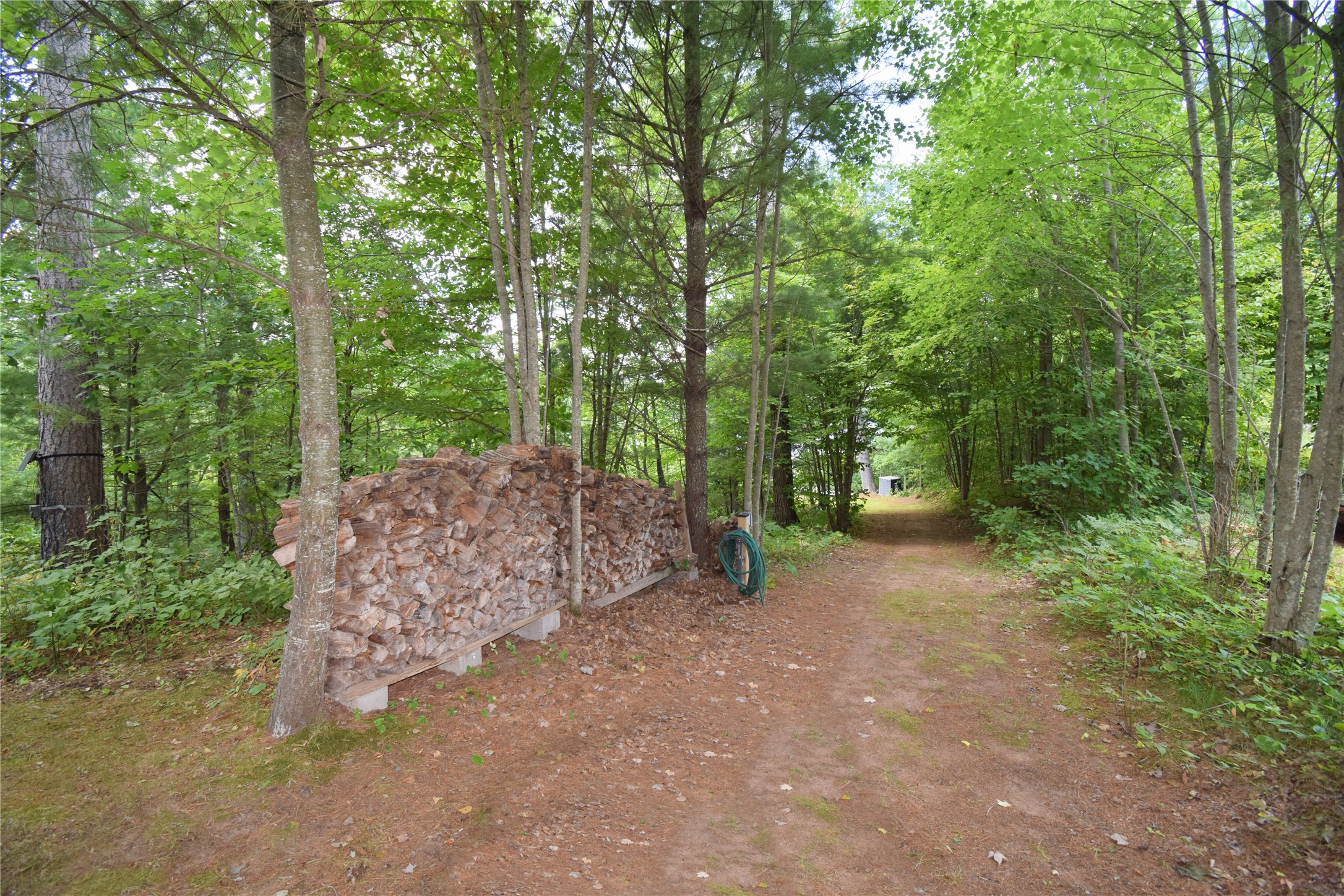 4646 Whitetail Path Property Photo 37