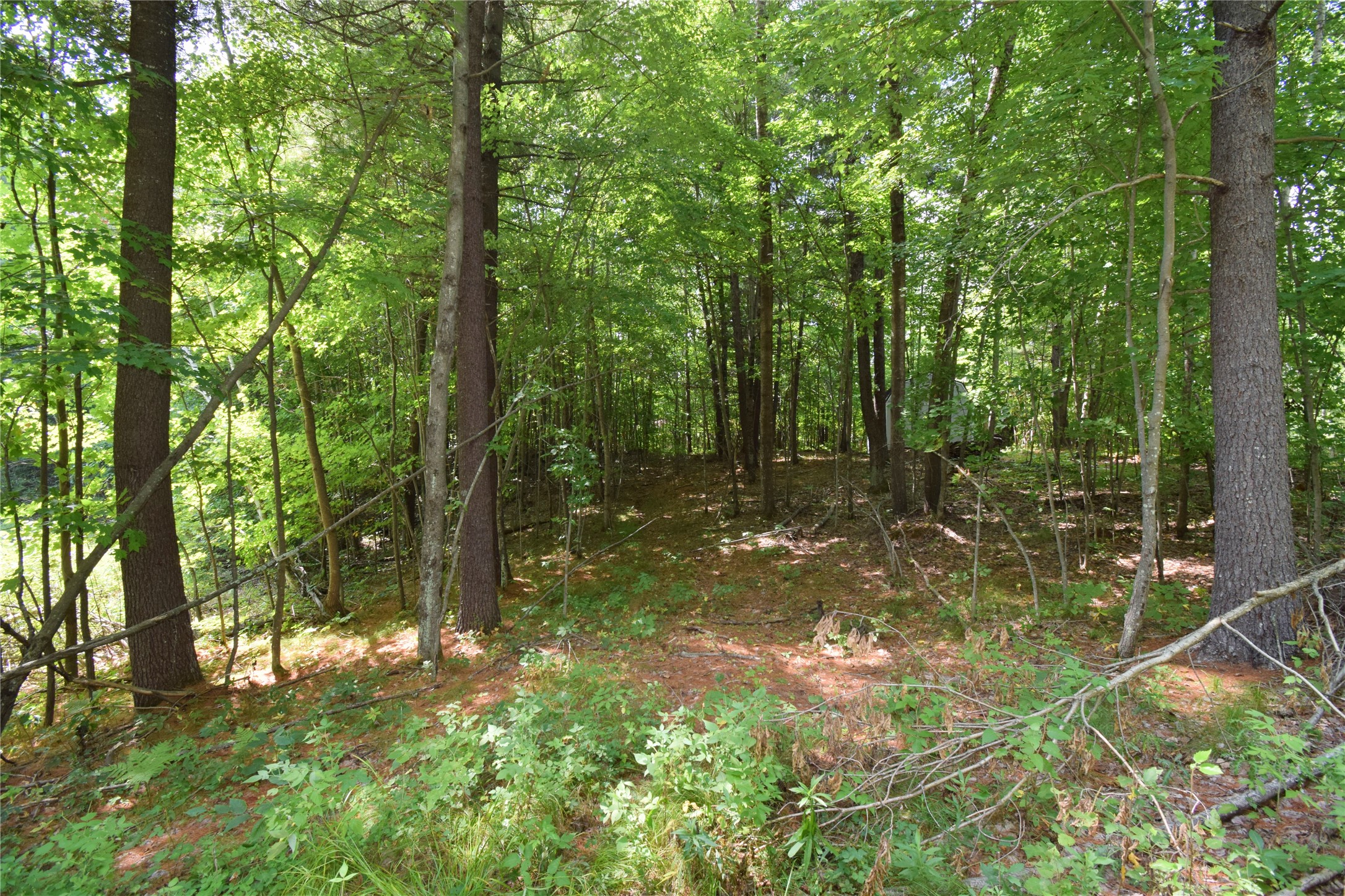 4646 Whitetail Path Property Photo 44