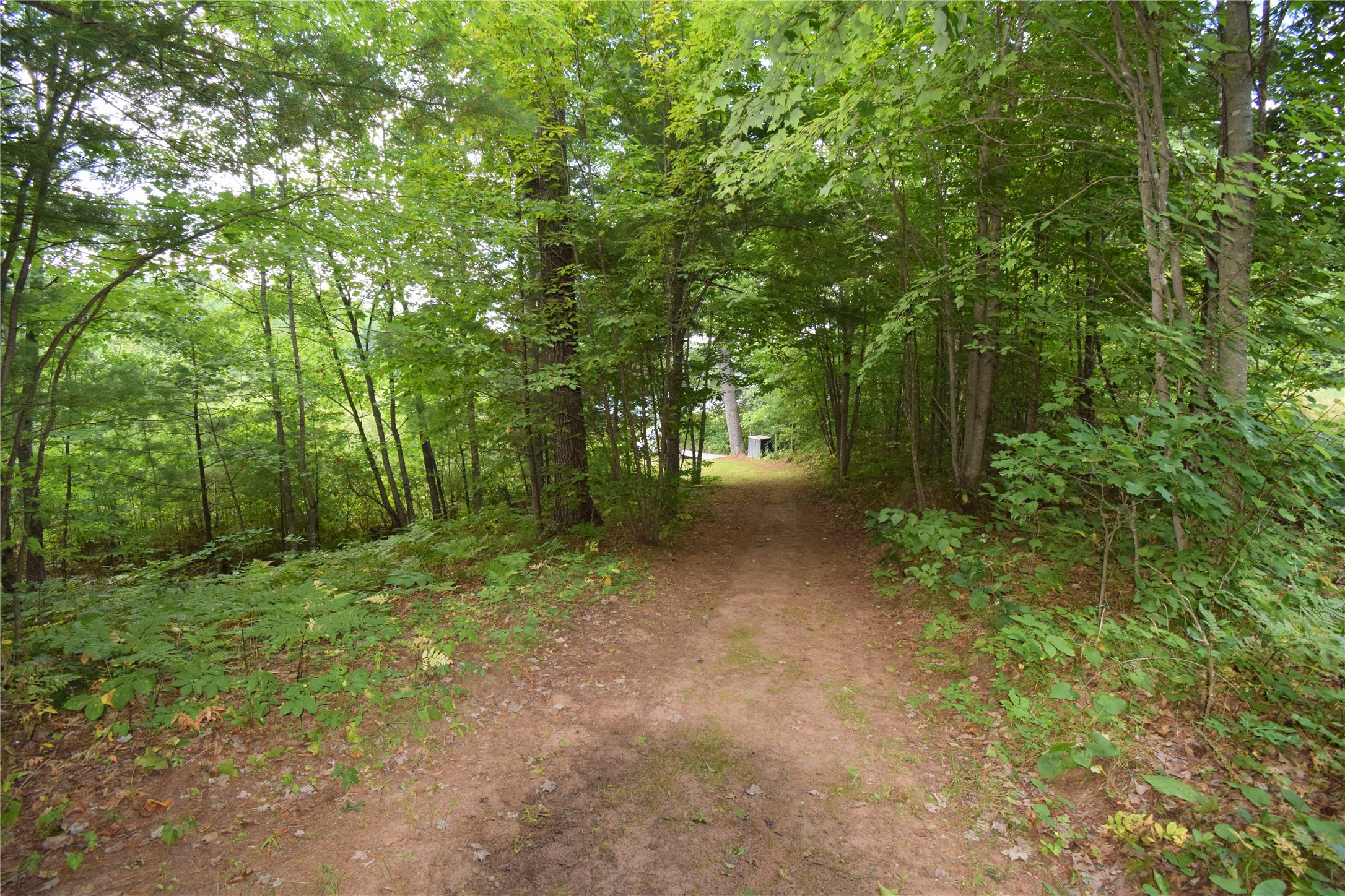 4646 Whitetail Path Property Photo 52