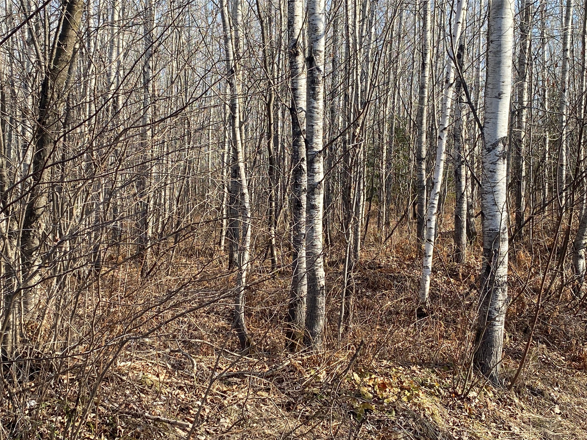 Near Bennett Road Property Photo 1