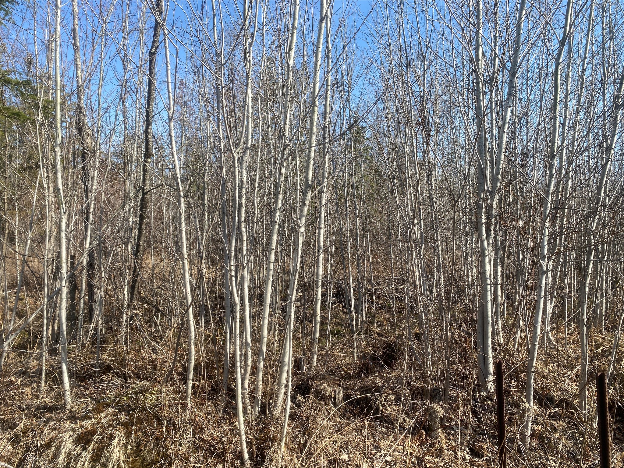 Near Tom Green Road Property Photo 1