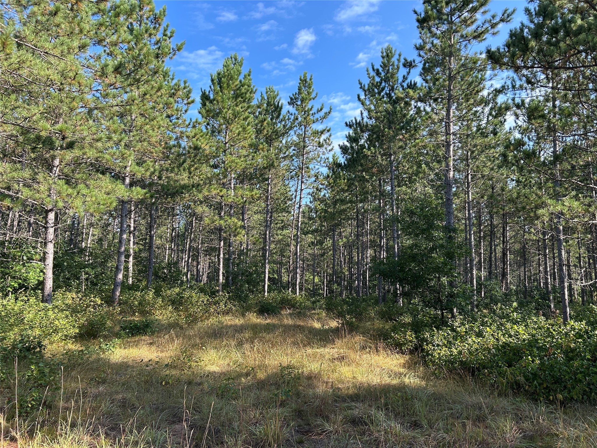 Near County Road Y Property Photo 1