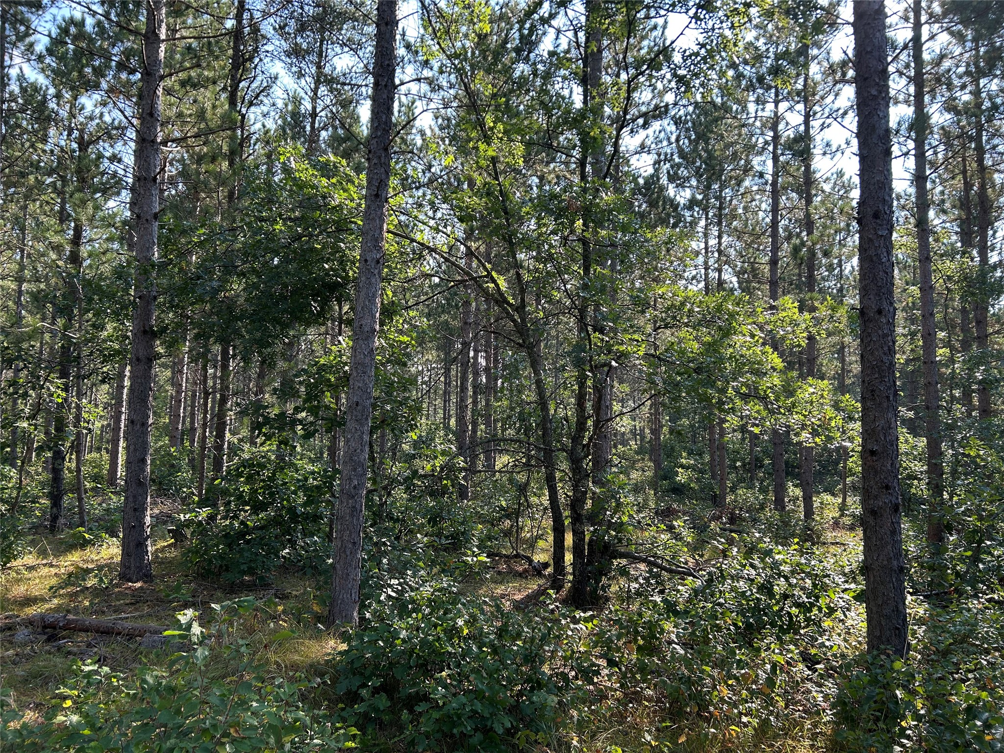 Near County Road Y Property Photo 4