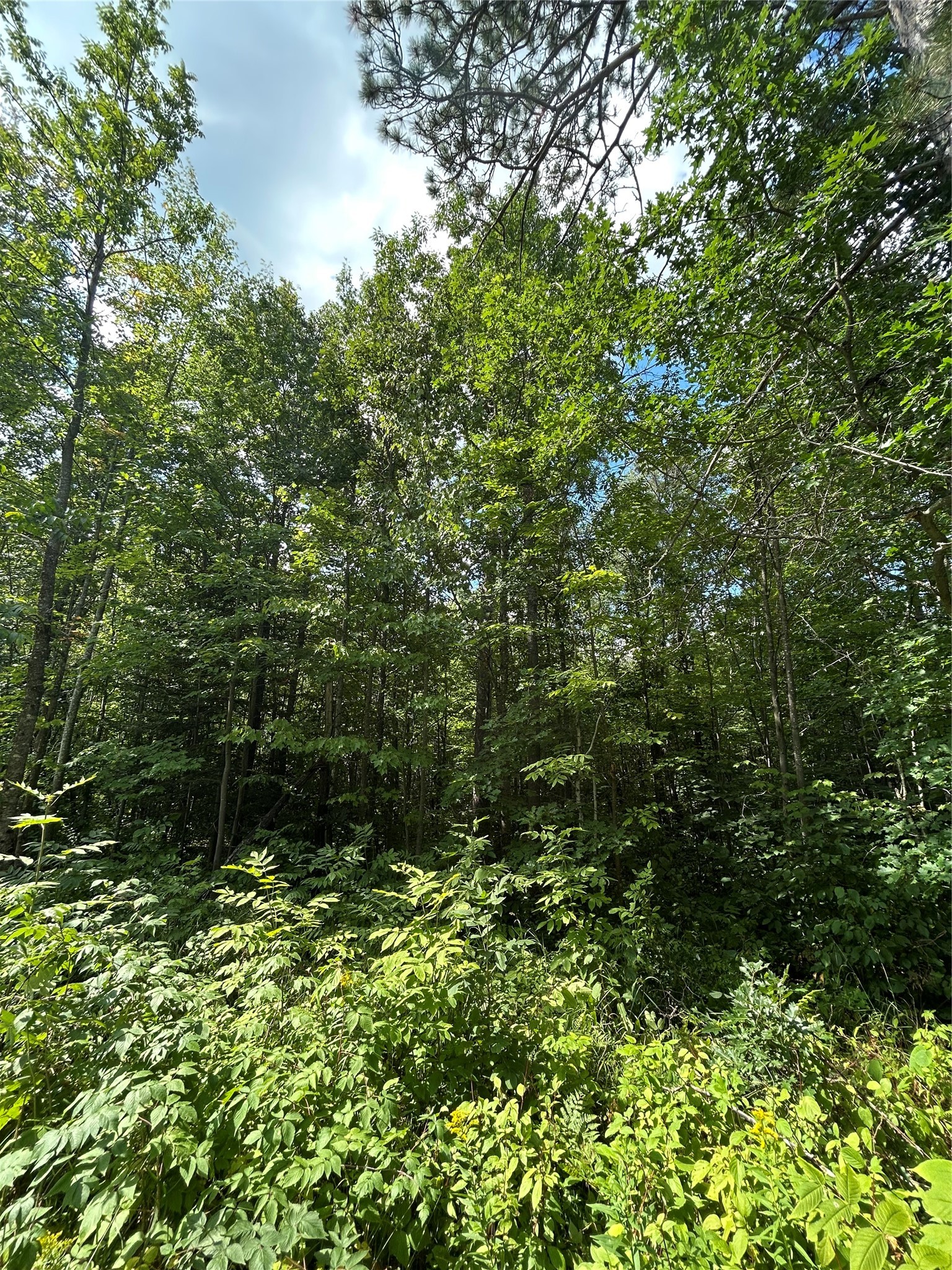 On Priest Road Property Photo 3