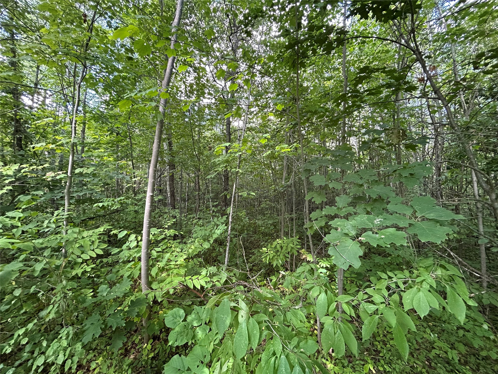 On Priest Road Property Photo 4