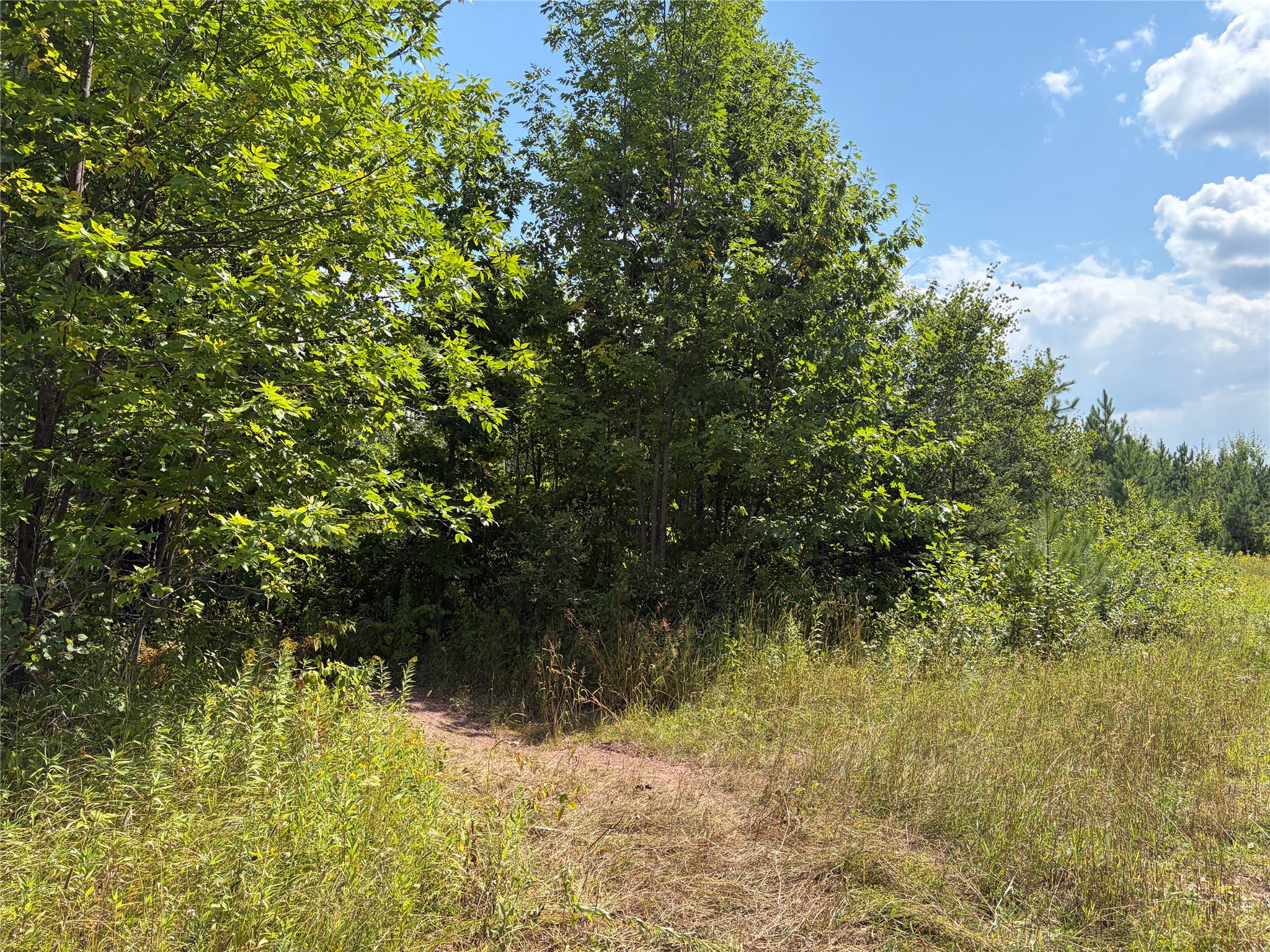 On Charles Johnson Road Property Photo 2