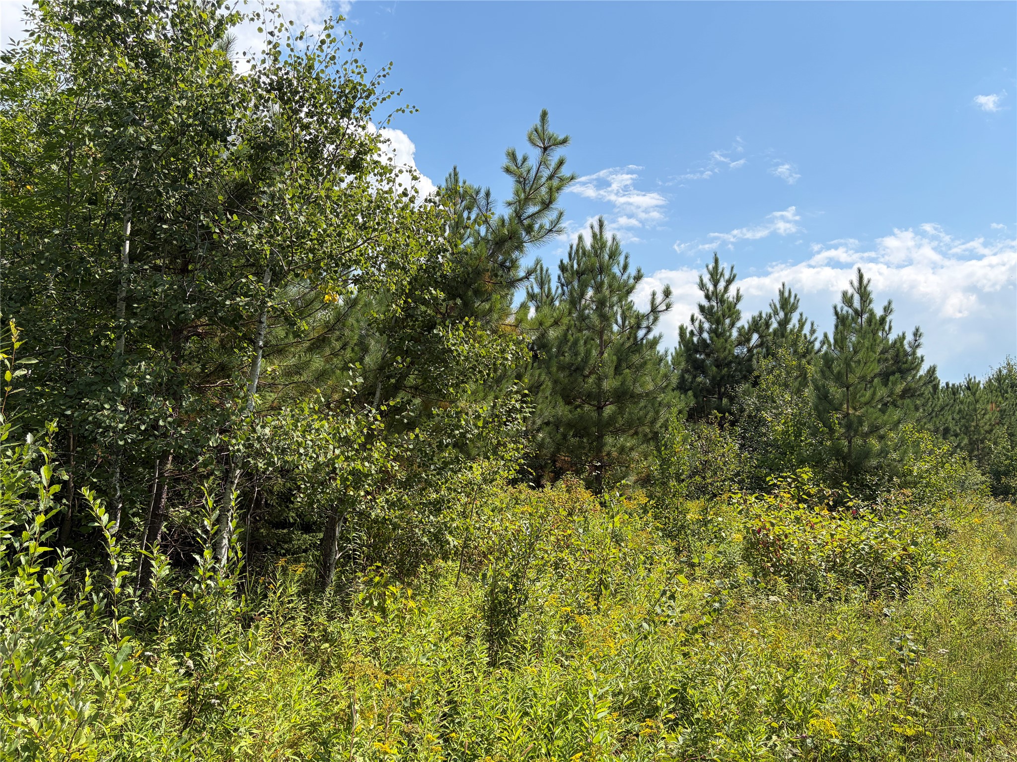 On Charles Johnson Road Property Photo 3