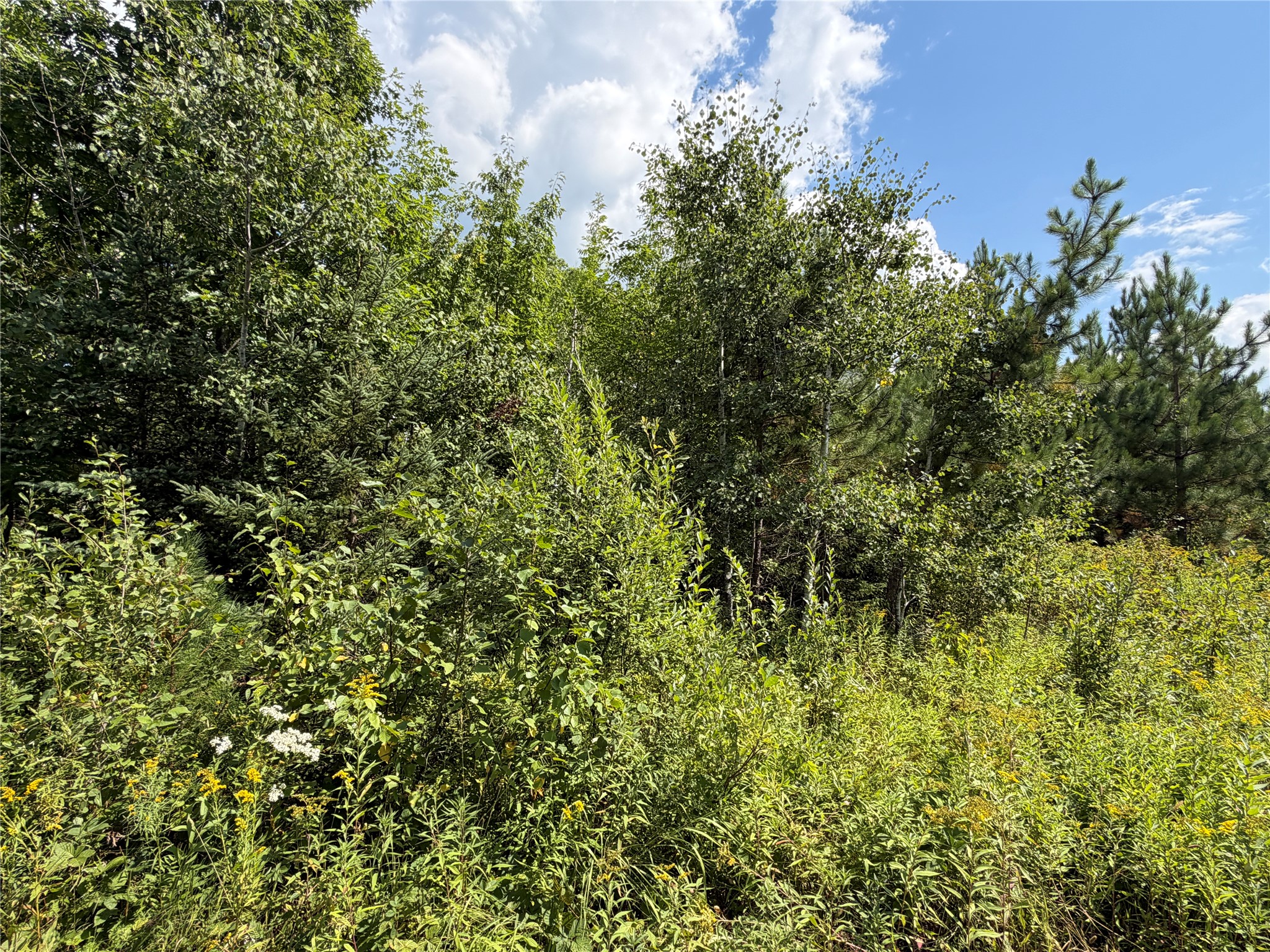 On Charles Johnson Road Property Photo 4