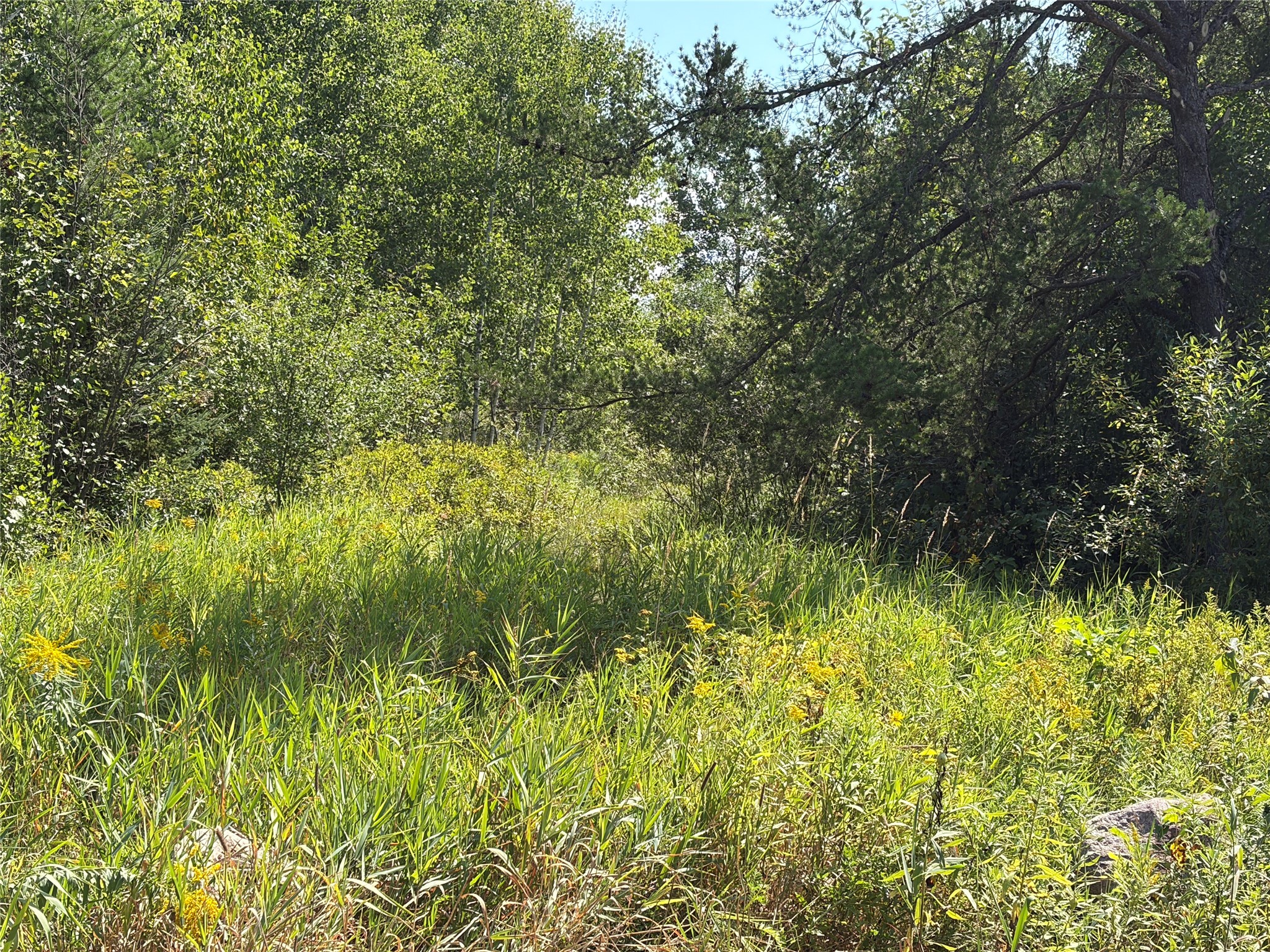On Holmes Road Property Photo 3