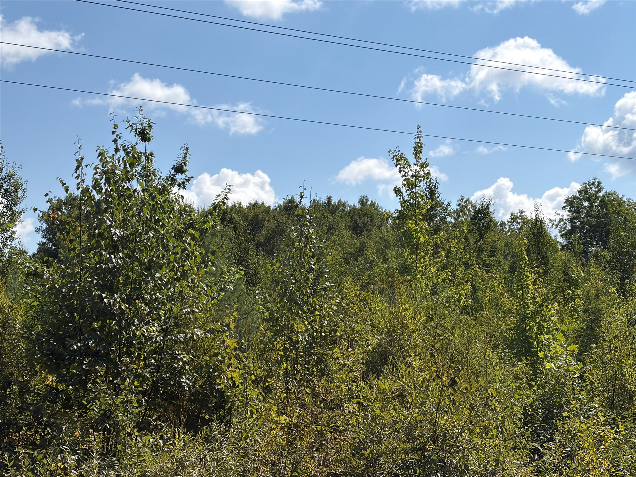 On Holmes Road Property Photo 3