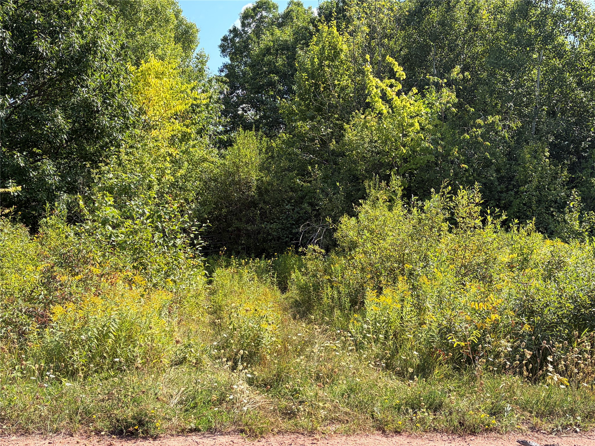 On Holmes Road Property Photo 6