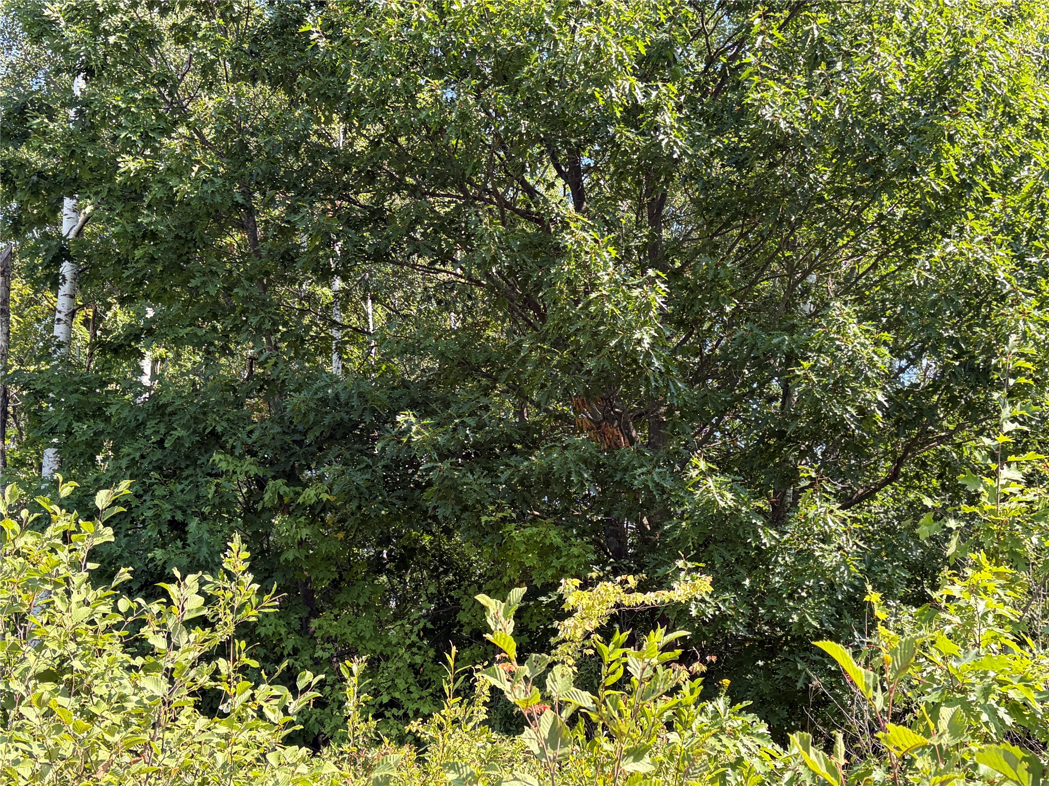 On Holmes Road Property Photo 7